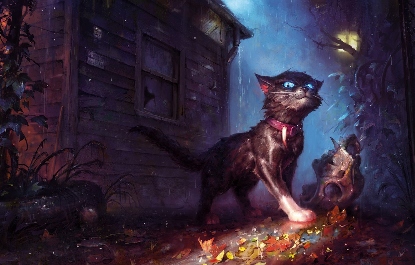 Photo Wallpaper Cat, House, Rain, Foliage, Skull, Fantasy, - Rise Of Scourge Art , HD Wallpaper & Backgrounds