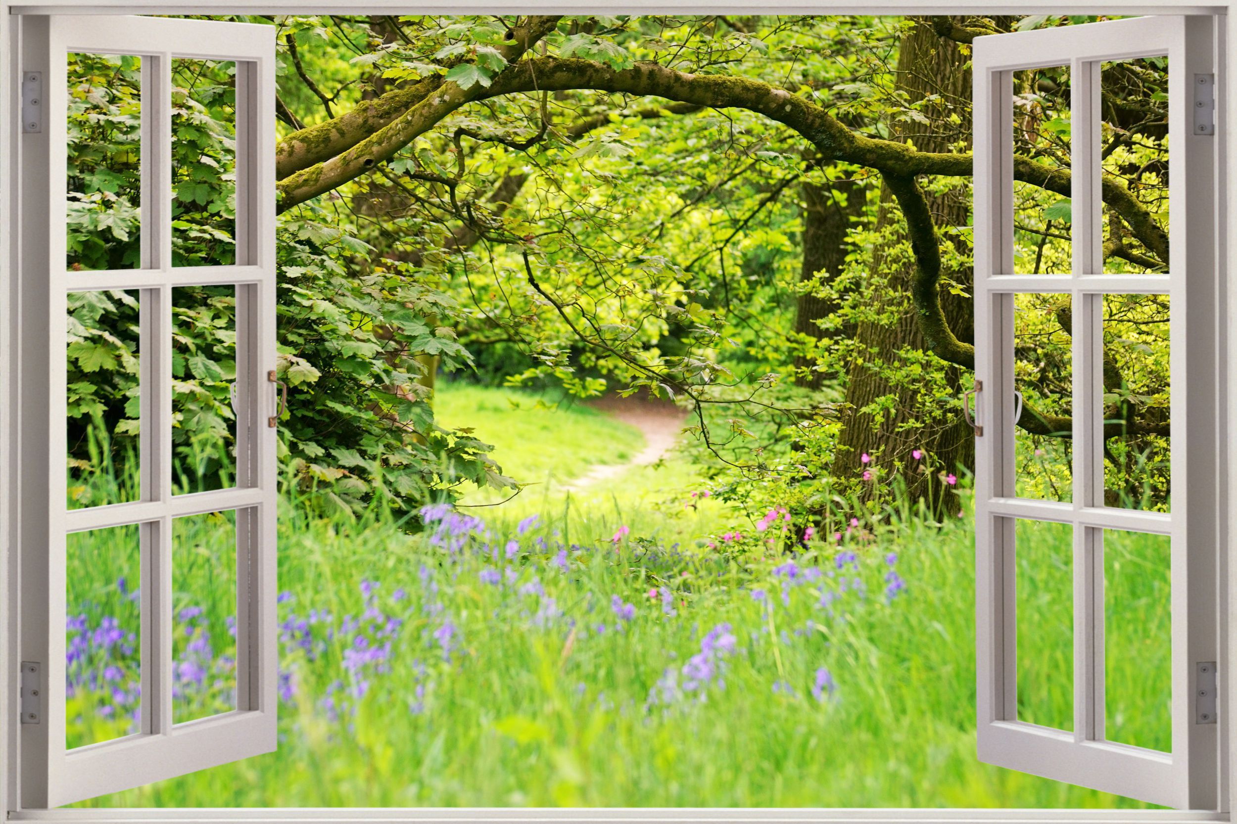 Huge 3d Window View Beautiful Green Forest Wall Sticker - Beautiful Green Forest , HD Wallpaper & Backgrounds