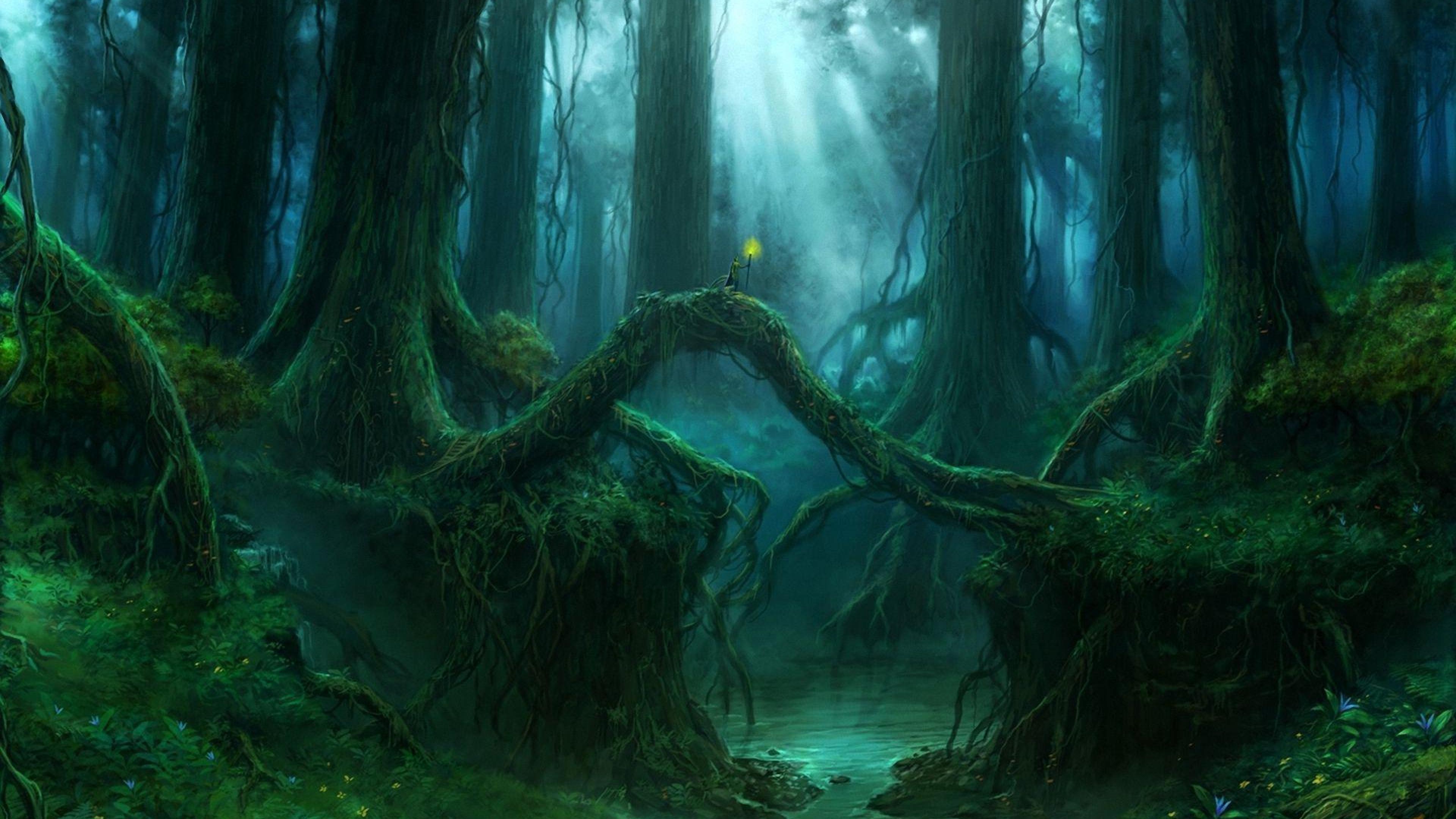 Magic Forest , HD Wallpaper & Backgrounds