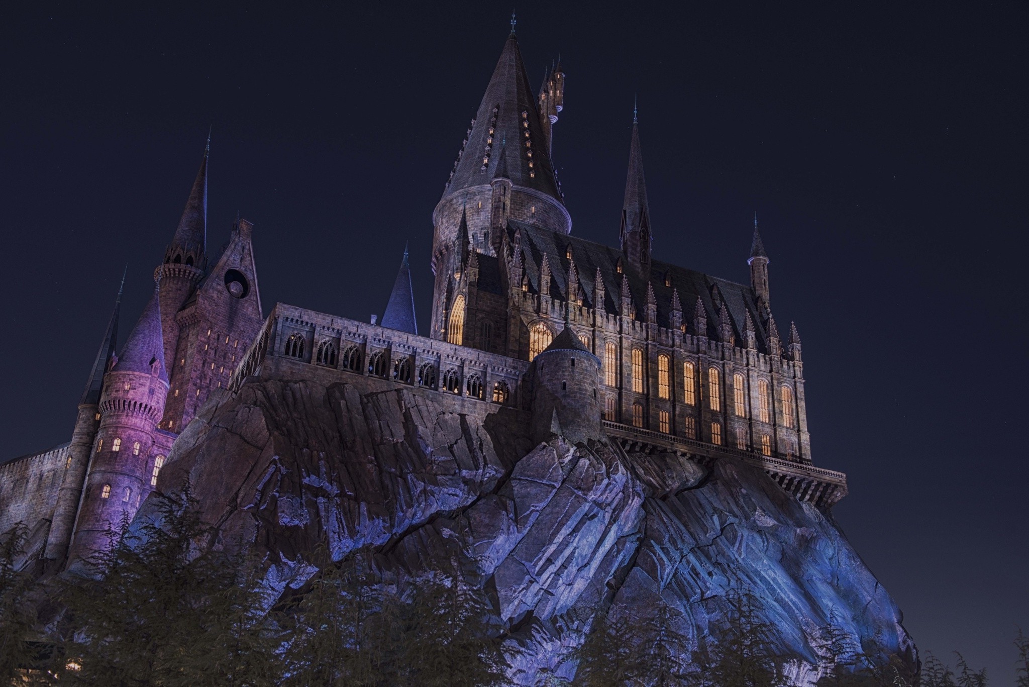 Landscape, Castle, Hogwarts, Night, Lights, Trees, - Hogwarts Landscape Hd , HD Wallpaper & Backgrounds