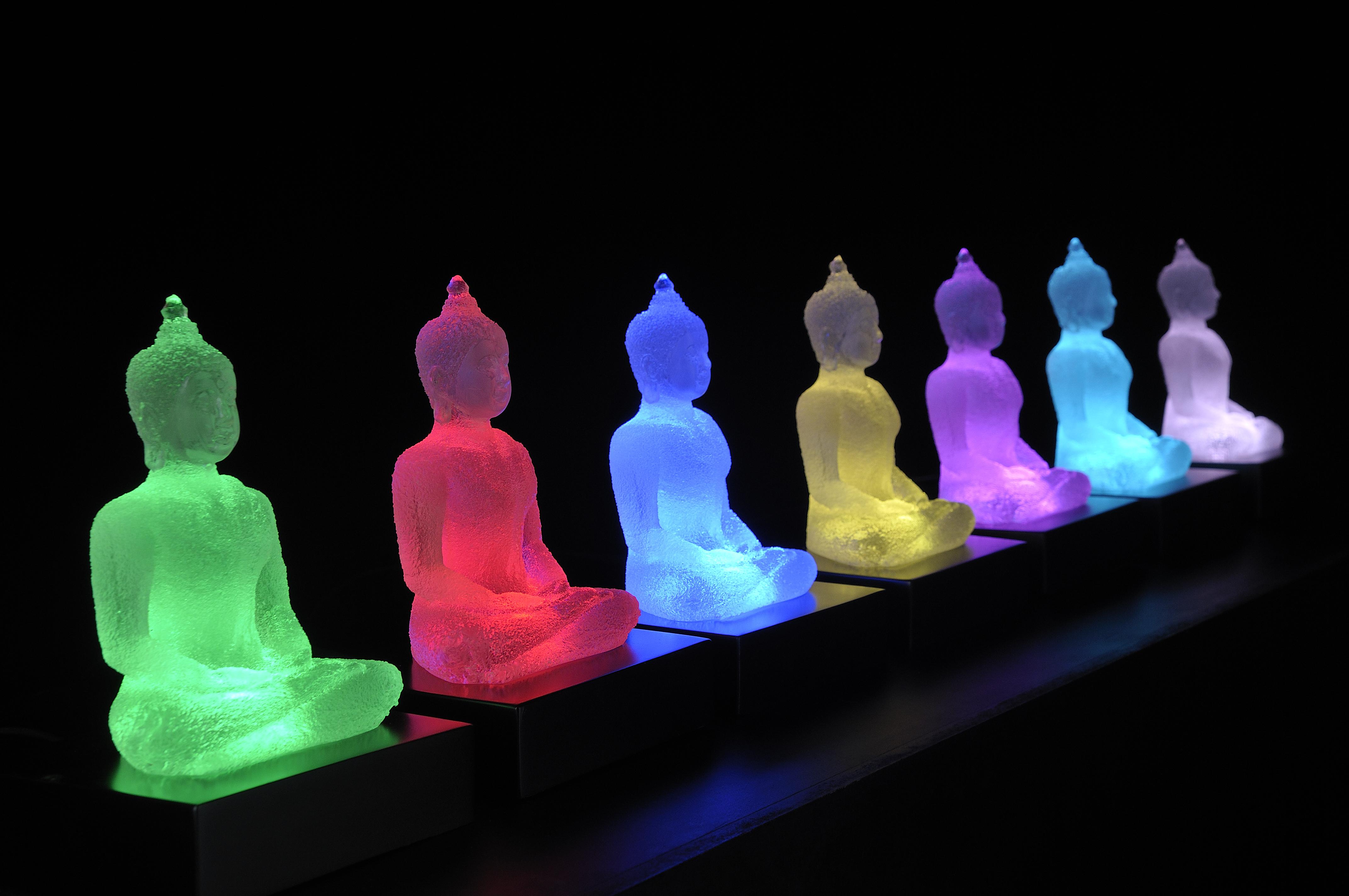 Buddha Changing Color Lotus - Buddha Lotus , HD Wallpaper & Backgrounds