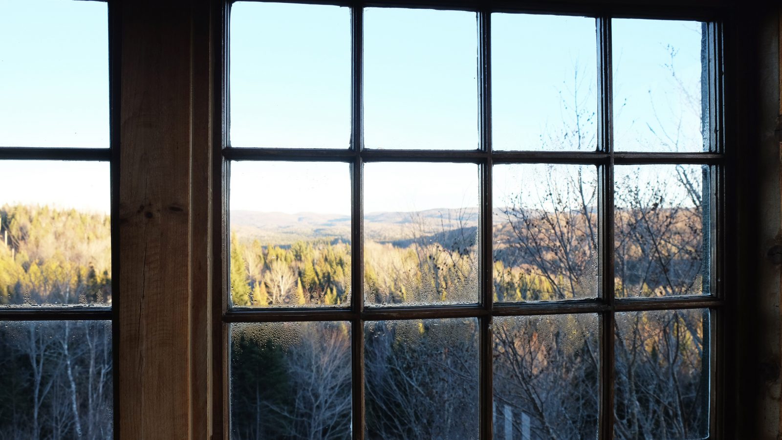 Window View - Forest In A Window , HD Wallpaper & Backgrounds
