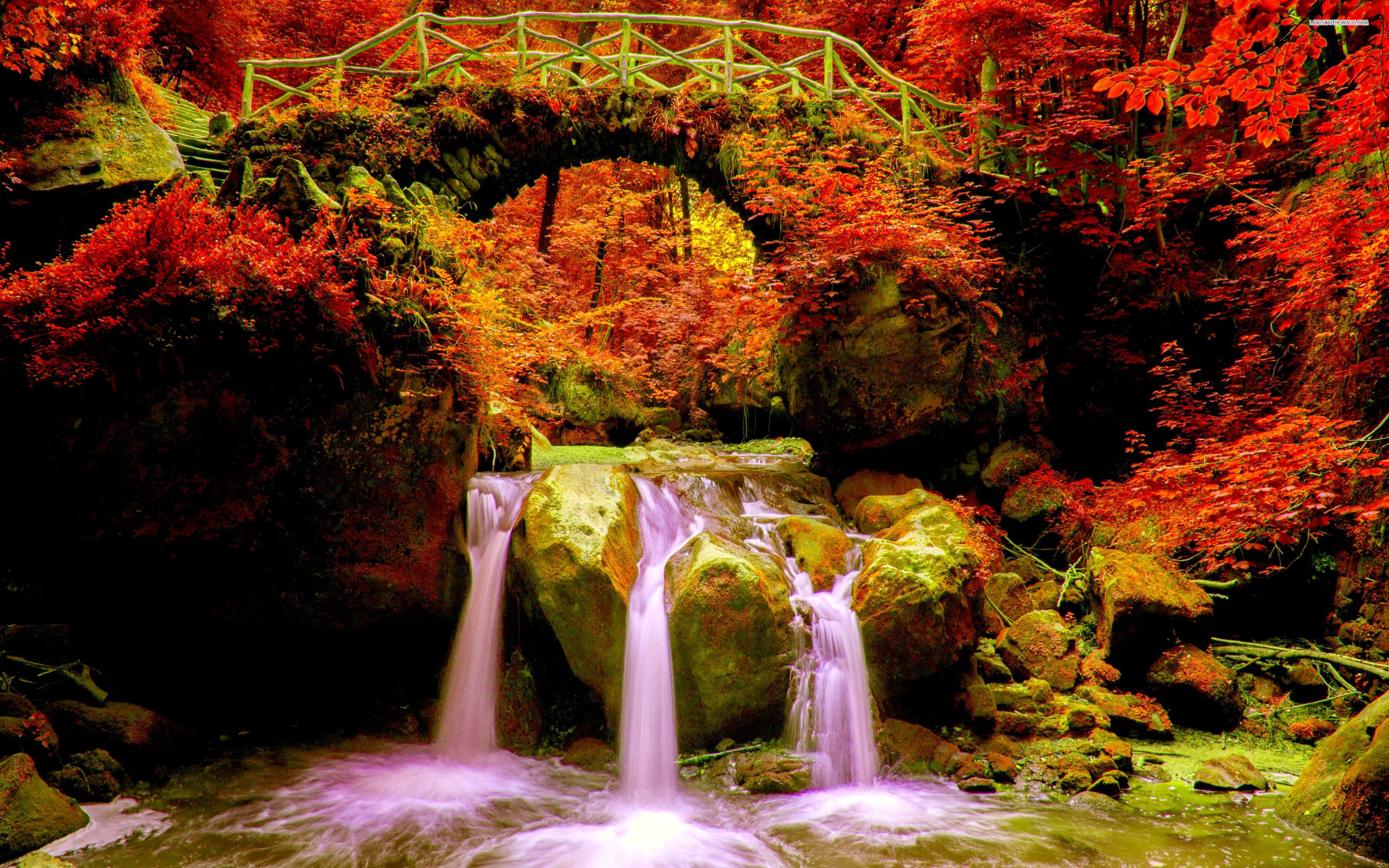 Beautiful, Nature, Autumn 4k Wallpapers, Background, , HD Wallpaper & Backgrounds
