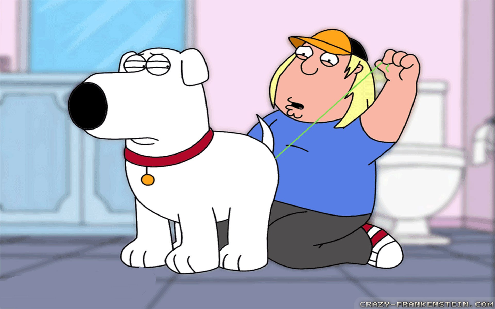 60 Brian Griffin Wallpapers On Wallpaperplay - Family Guy Brian And Chris , HD Wallpaper & Backgrounds