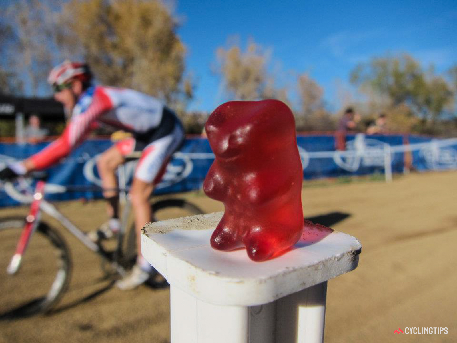 Perhaps One Day Haribo Will Be As Common A Post Ride - Peter Sagan Gummy Bears , HD Wallpaper & Backgrounds