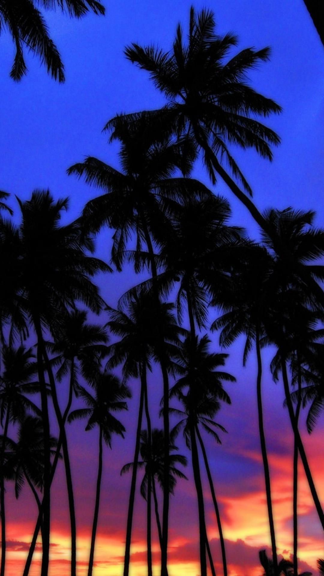 Sunset Wallpapers Palm Trees , HD Wallpaper & Backgrounds