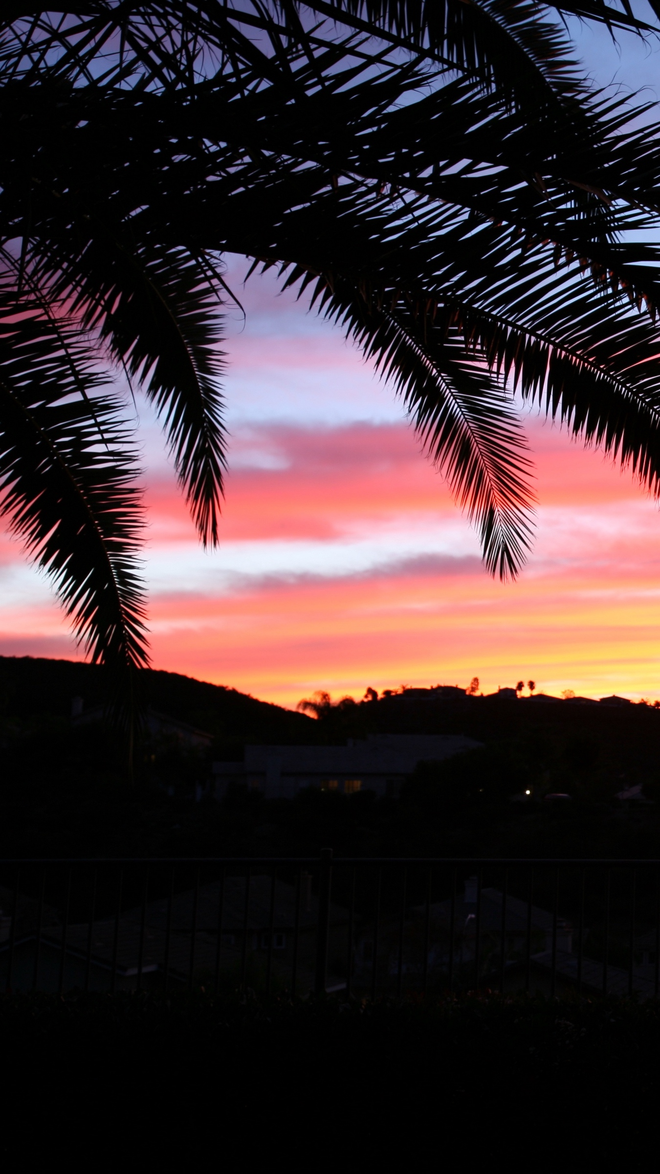 Wallpaper Palm Tree, Sky, Sunset - Sunset And Palm Trees , HD Wallpaper & Backgrounds