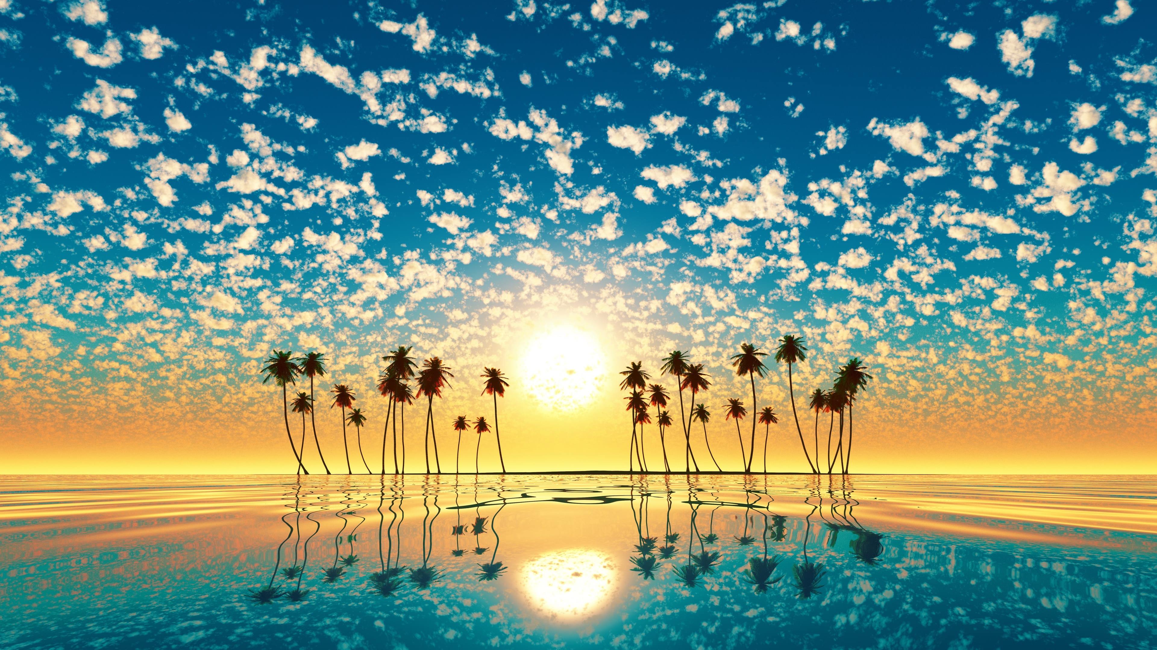 Palm Trees Reflection Sunset Wallpaper - Palm Trees Reflection Sunset , HD Wallpaper & Backgrounds