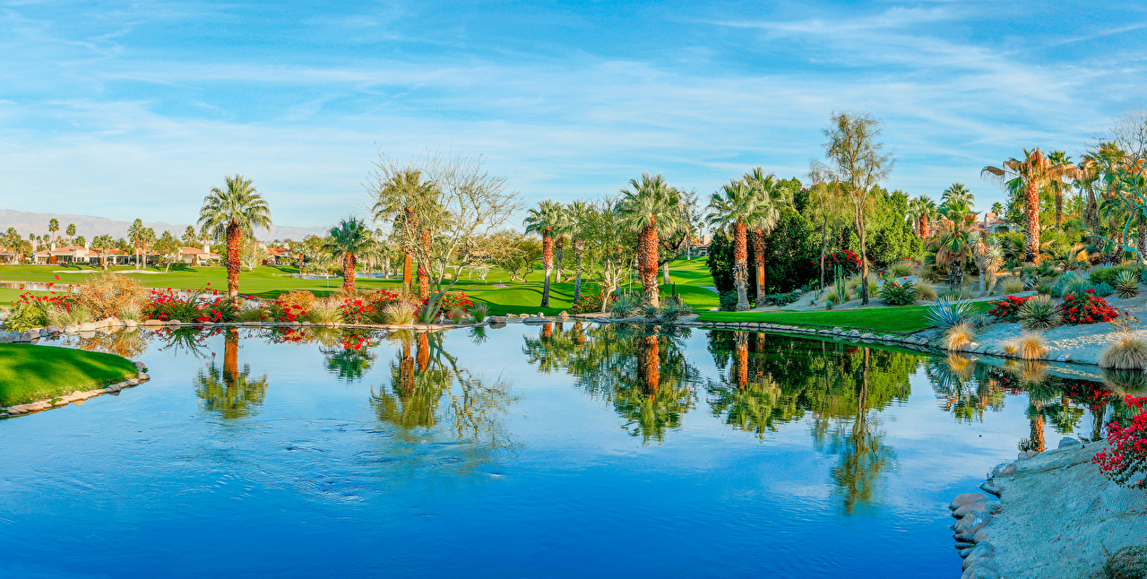 Wallpapers California Usa Palm Desert Nature Lake Palms - Reflection , HD Wallpaper & Backgrounds