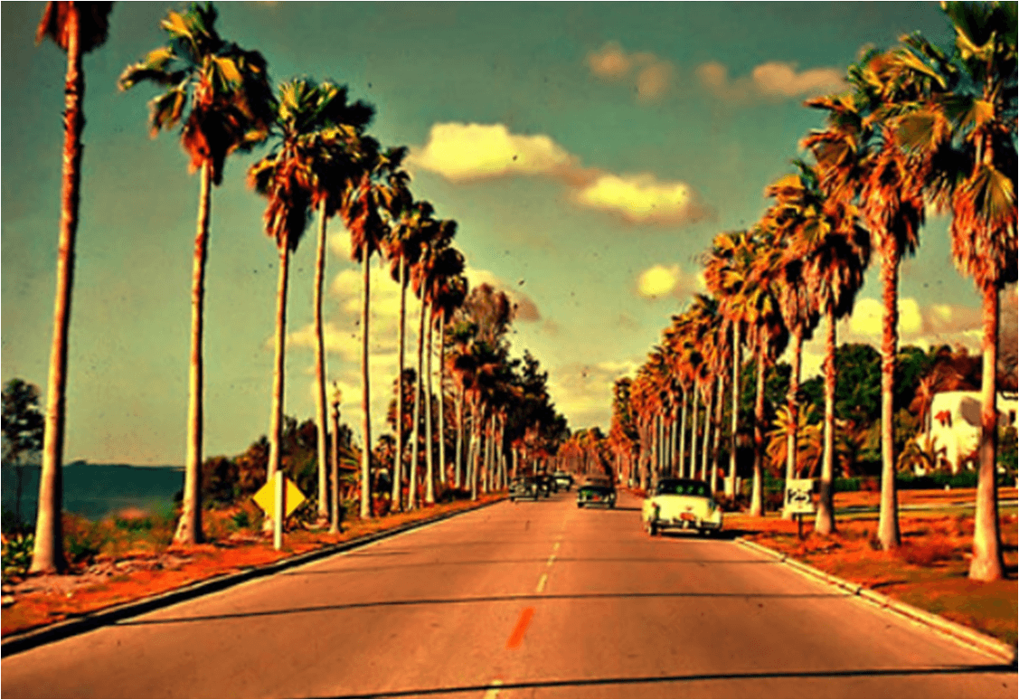 California Dreamin , HD Wallpaper & Backgrounds