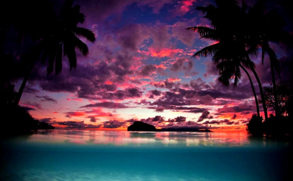 Landscape Nature Tahiti Sunset Palm Trees Island Beach - Island Palm Tree Sunset , HD Wallpaper & Backgrounds