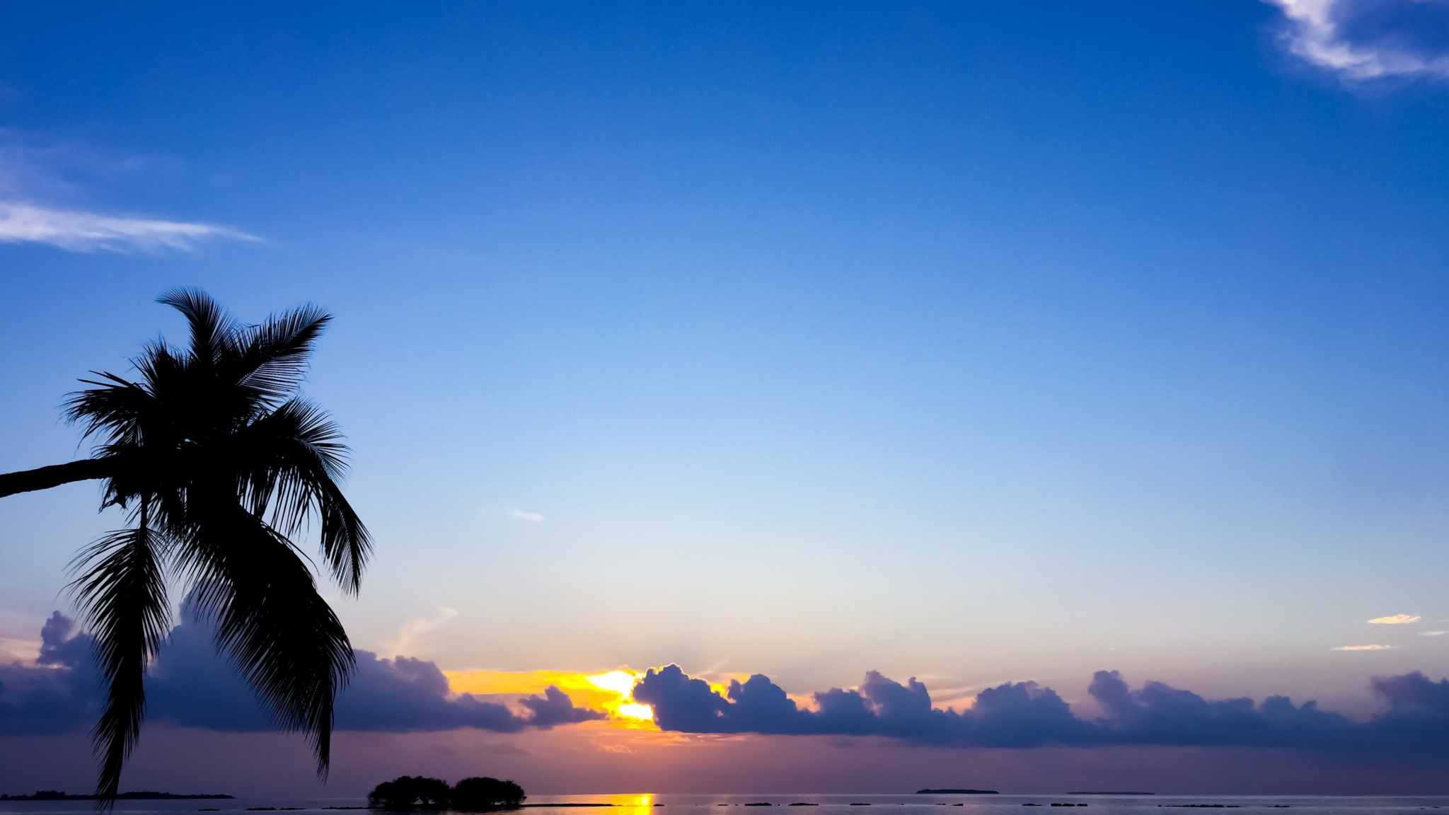 Wallpaper Sea, Clouds, Blue Skyline, Palm Tree, Sunset - Blue Sunset Beach Vector , HD Wallpaper & Backgrounds