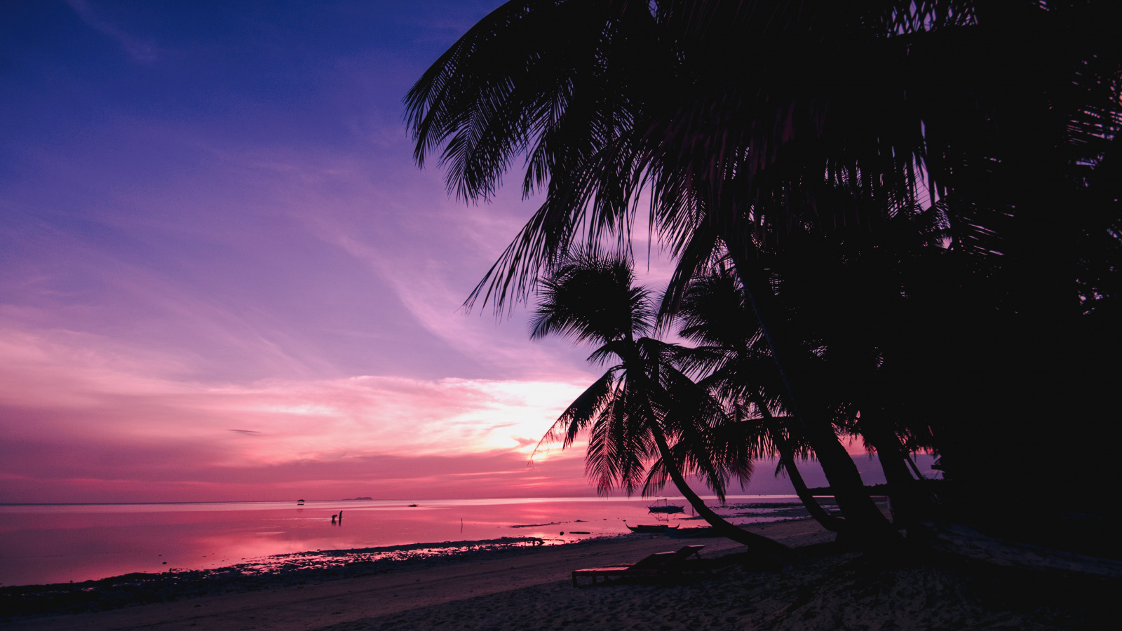 Downaload Palm Trees, Beach, Nature, Sunset Wallpaper, - Sunset Palm Tree Beach Backgrounds , HD Wallpaper & Backgrounds