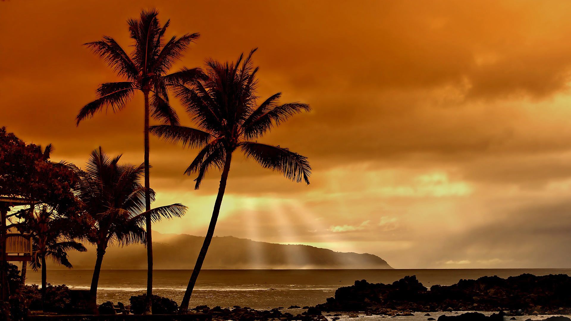 Hd Hawaiian Sunset Wallpaper, Land, Palm Trees, Sunset, - Good Morning Friends Image In Nature , HD Wallpaper & Backgrounds
