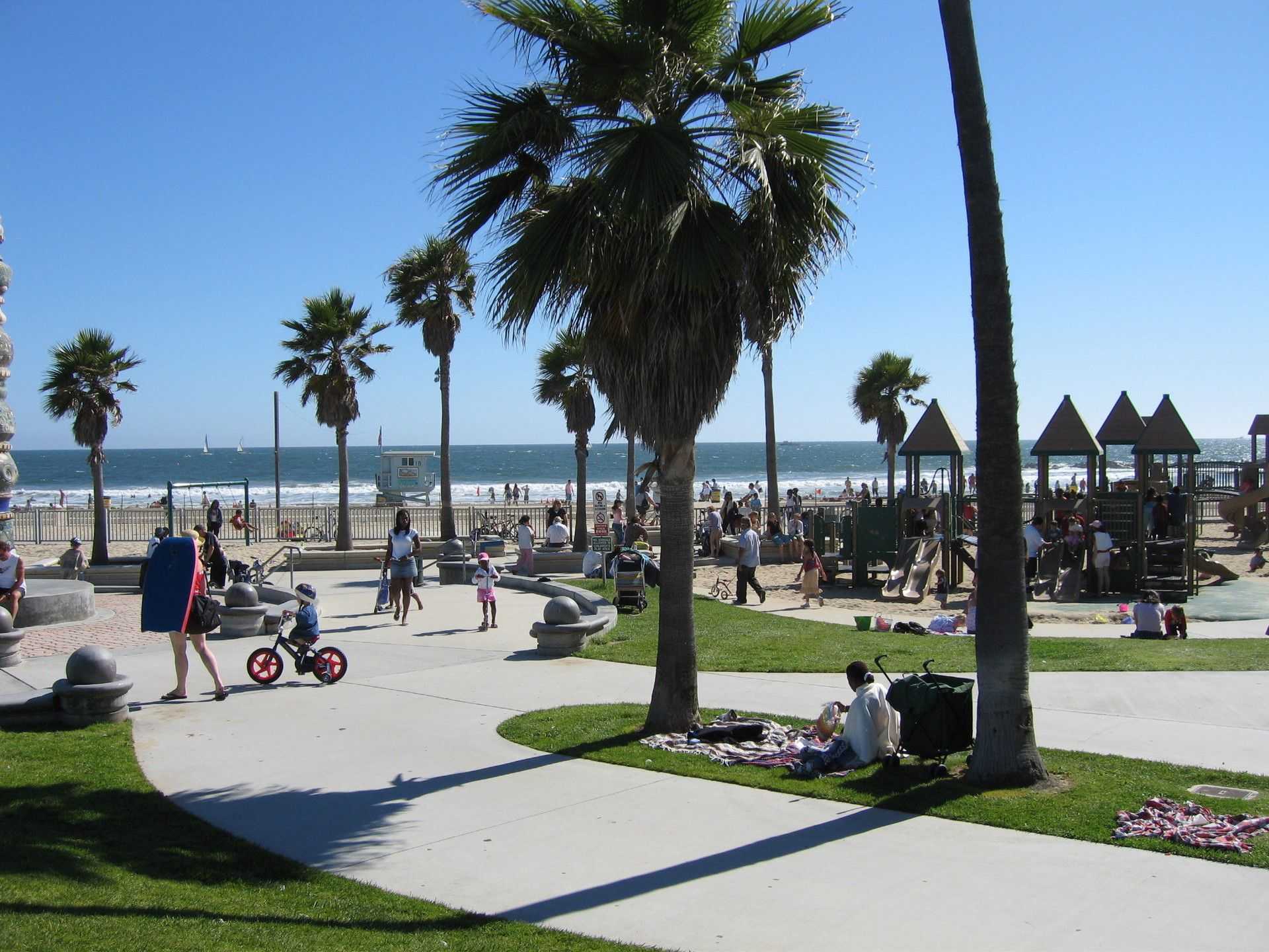 California Beaches Palm Trees Wallpaper Unique Visiting - Venice Beach Us , HD Wallpaper & Backgrounds