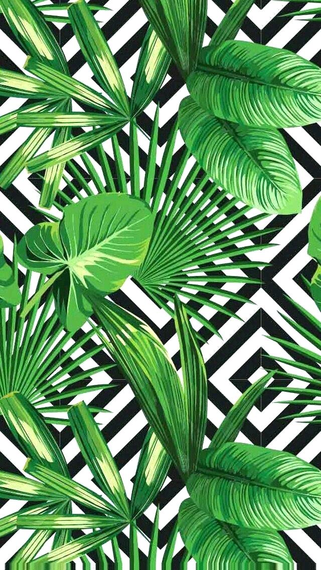 Palm Tree Leaves Wallpaper Pin By On Wallpaper Wallpaper - Tropical Leaf Wallpaper Iphone , HD Wallpaper & Backgrounds