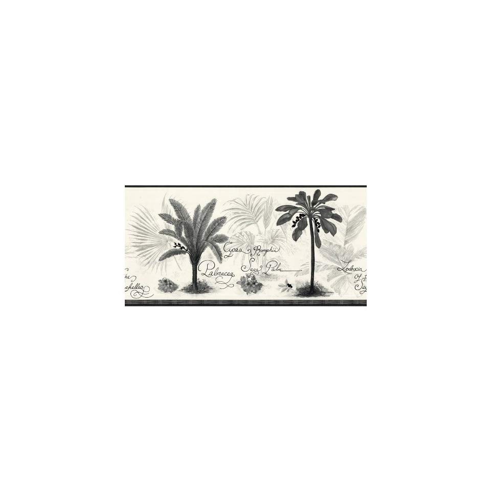 Allen Roth Black And White Palm Tree Wallpaper Border - Wallpaper , HD Wallpaper & Backgrounds