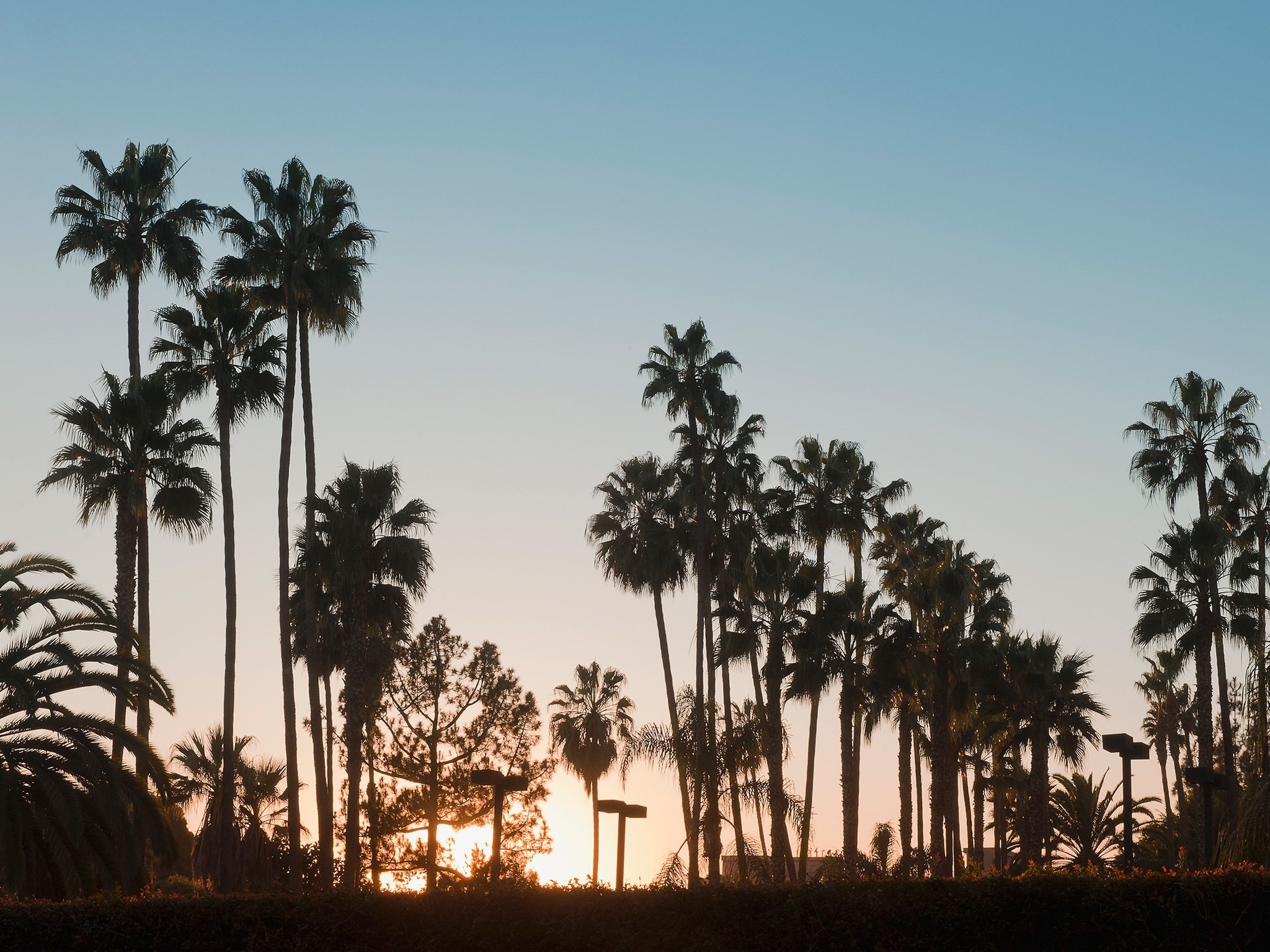 Download Your Favorite - Los Angeles Beach Hd , HD Wallpaper & Backgrounds