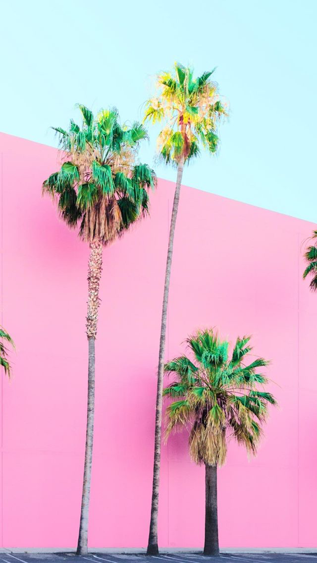 Palm Tree Iphone Wallpaper, Desktop Wallpaper Summer, - Pastel Pink Palm Tree , HD Wallpaper & Backgrounds