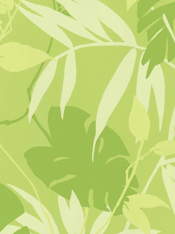 Tropical Leaf Wallpaper For Walls Border Palm Tree - Wall Texture Patterns , HD Wallpaper & Backgrounds