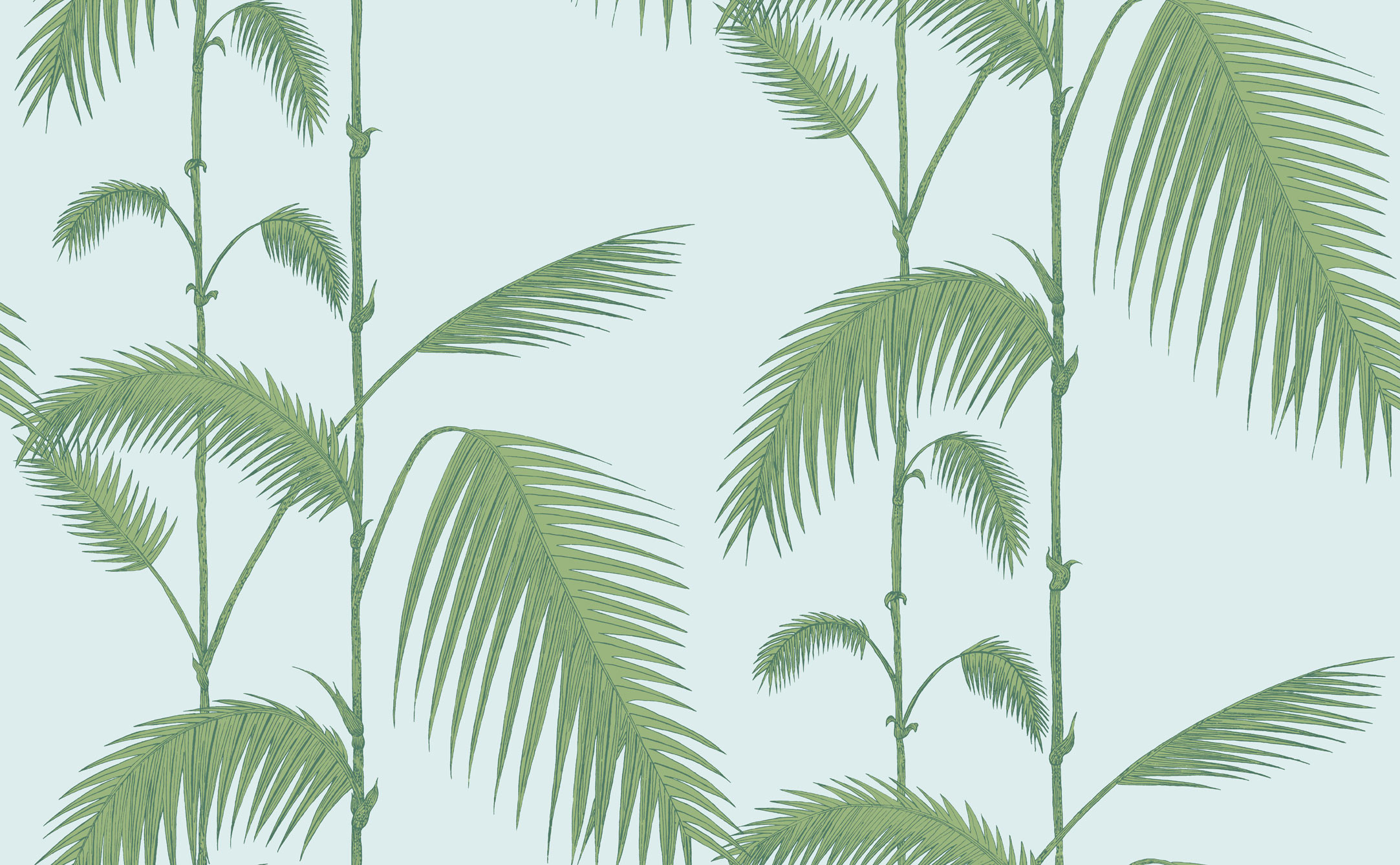 Amazoncom Palm Tree Wallpaper Border Home Amp Kitchen - Cole & Son Palm Leaves , HD Wallpaper & Backgrounds