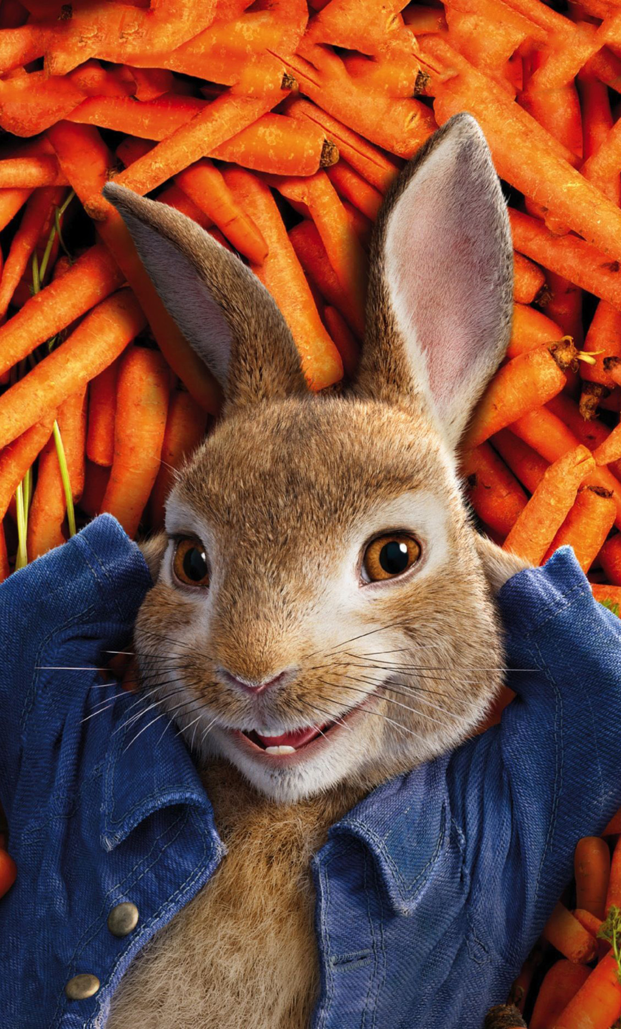 Peter Rabbit 2018 - Peter Rabbit Movie Review , HD Wallpaper & Backgrounds