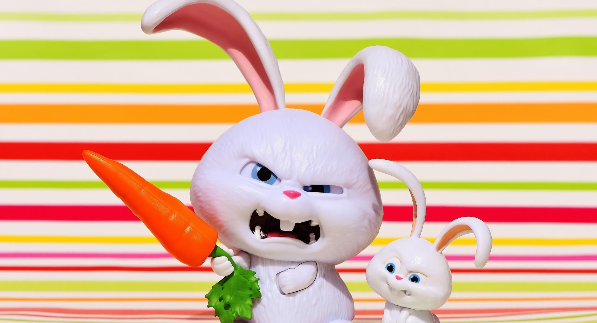 The Secret Life Of Pets Snowball Bunny Wallpapers Hd - Snowball Bunny , HD Wallpaper & Backgrounds