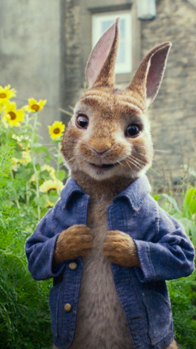 Peter Rabbit, 4k - Peter Rabbit Face Movie , HD Wallpaper & Backgrounds
