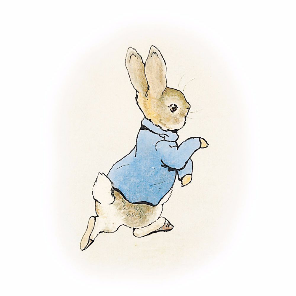 Peter Rabbit Animation 5k Hd Wallpapers > - Peter Rabbit Drawing , HD Wallpaper & Backgrounds