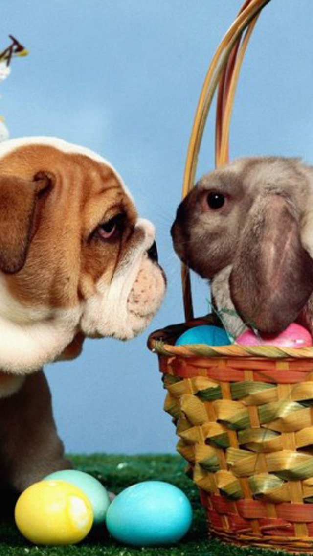 Free Download Lovely Easter 2013 Bunnies Iphone 5 Hd - Easter Eggs And Dogs , HD Wallpaper & Backgrounds