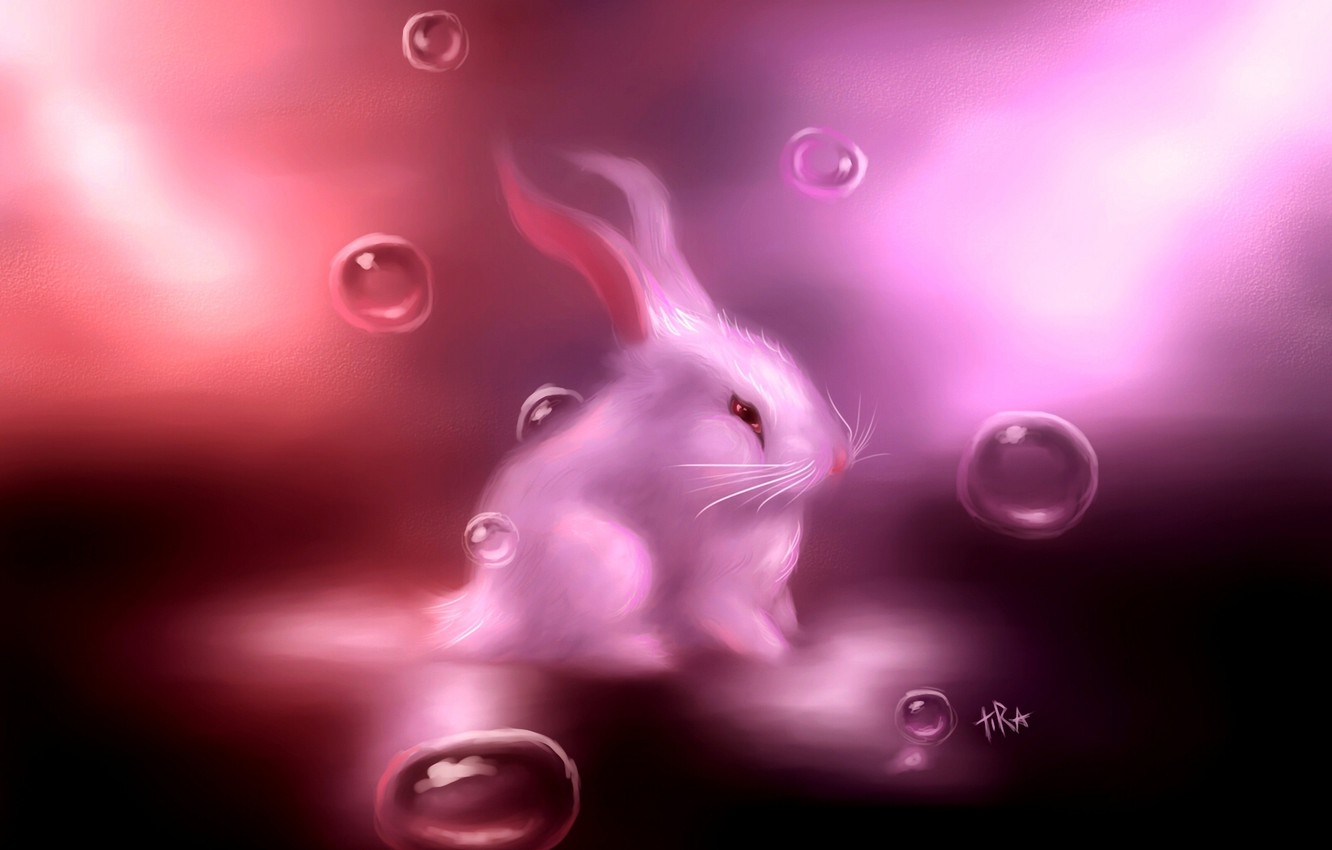 Photo Wallpaper White, Bubbles, Pink, Hare, Rabbit, - Bunny Art , HD Wallpaper & Backgrounds