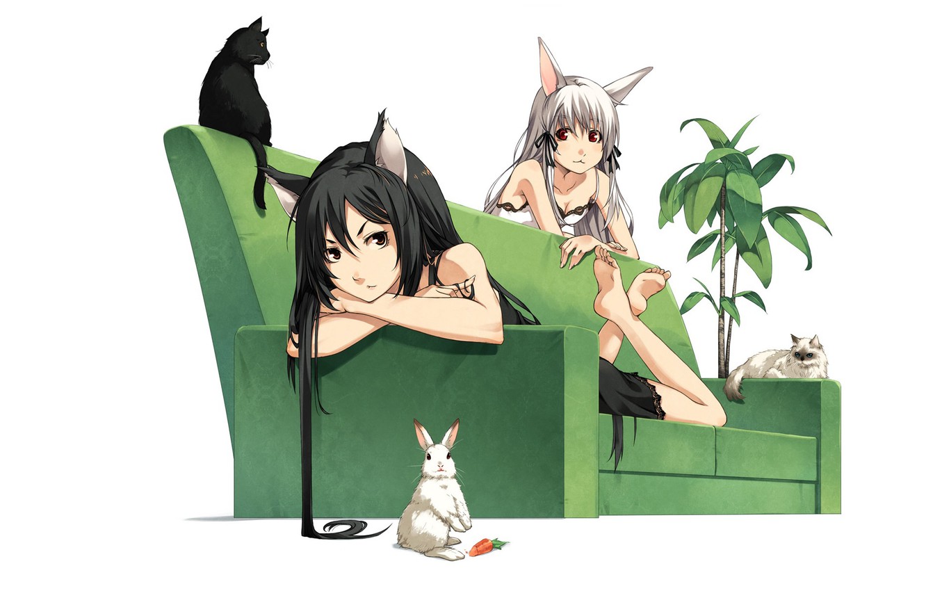 Photo Wallpaper Carrot, Tail, Black Hair, Black Cat, - Black Cat And White Rabbit , HD Wallpaper & Backgrounds