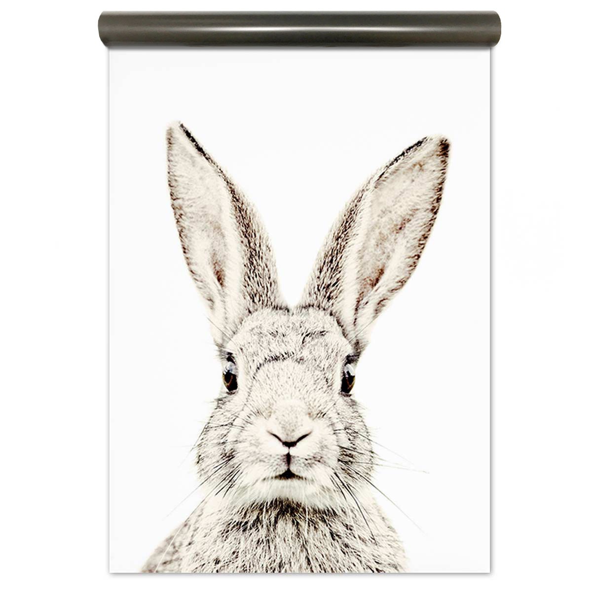 Magnetic Wallpaper - Rabbit - Rabbit Drawing Front View , HD Wallpaper & Backgrounds