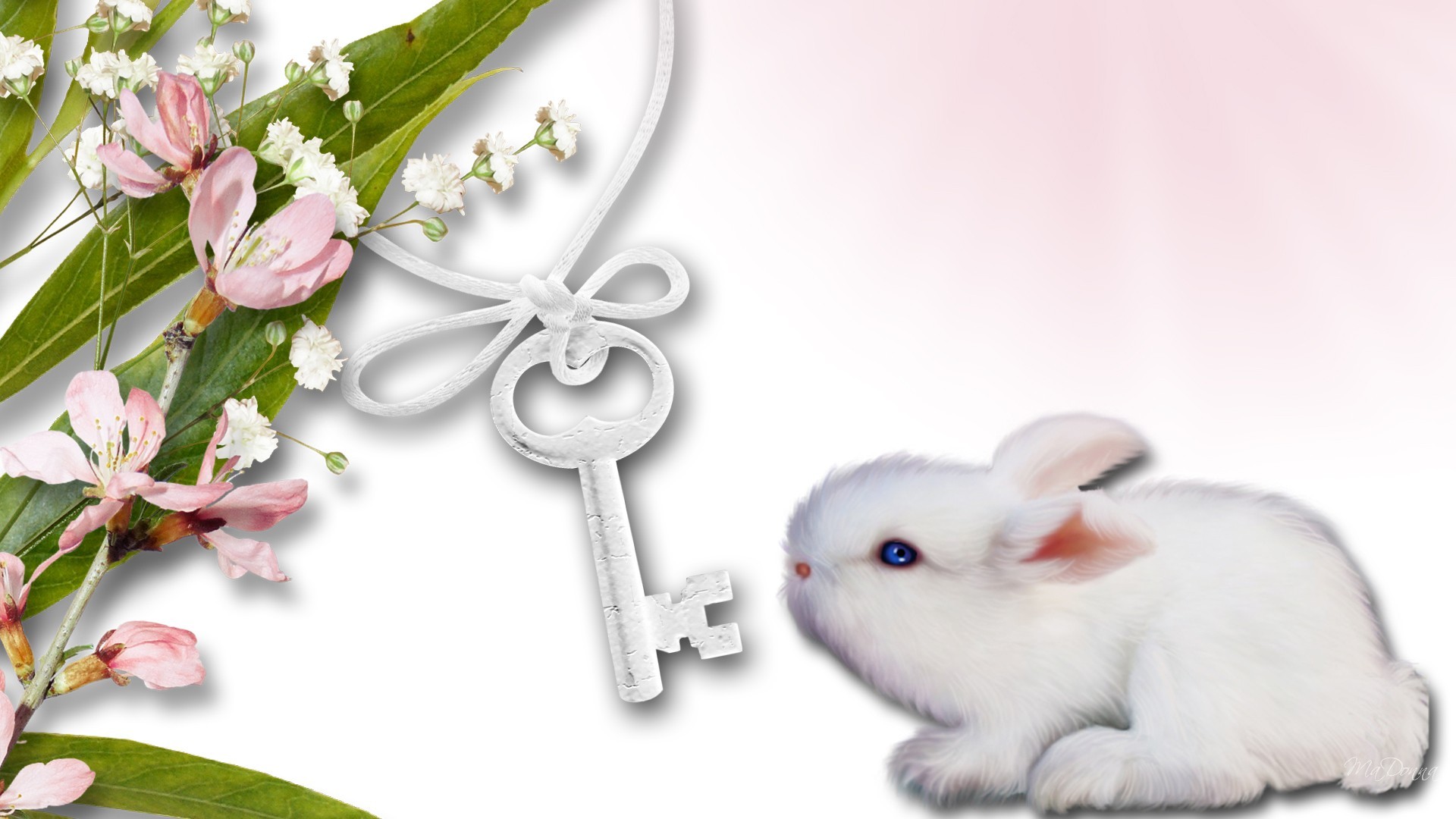Simplicity Flowers Sakura Bunny Key Cherry Blossoms - Domestic Rabbit , HD Wallpaper & Backgrounds