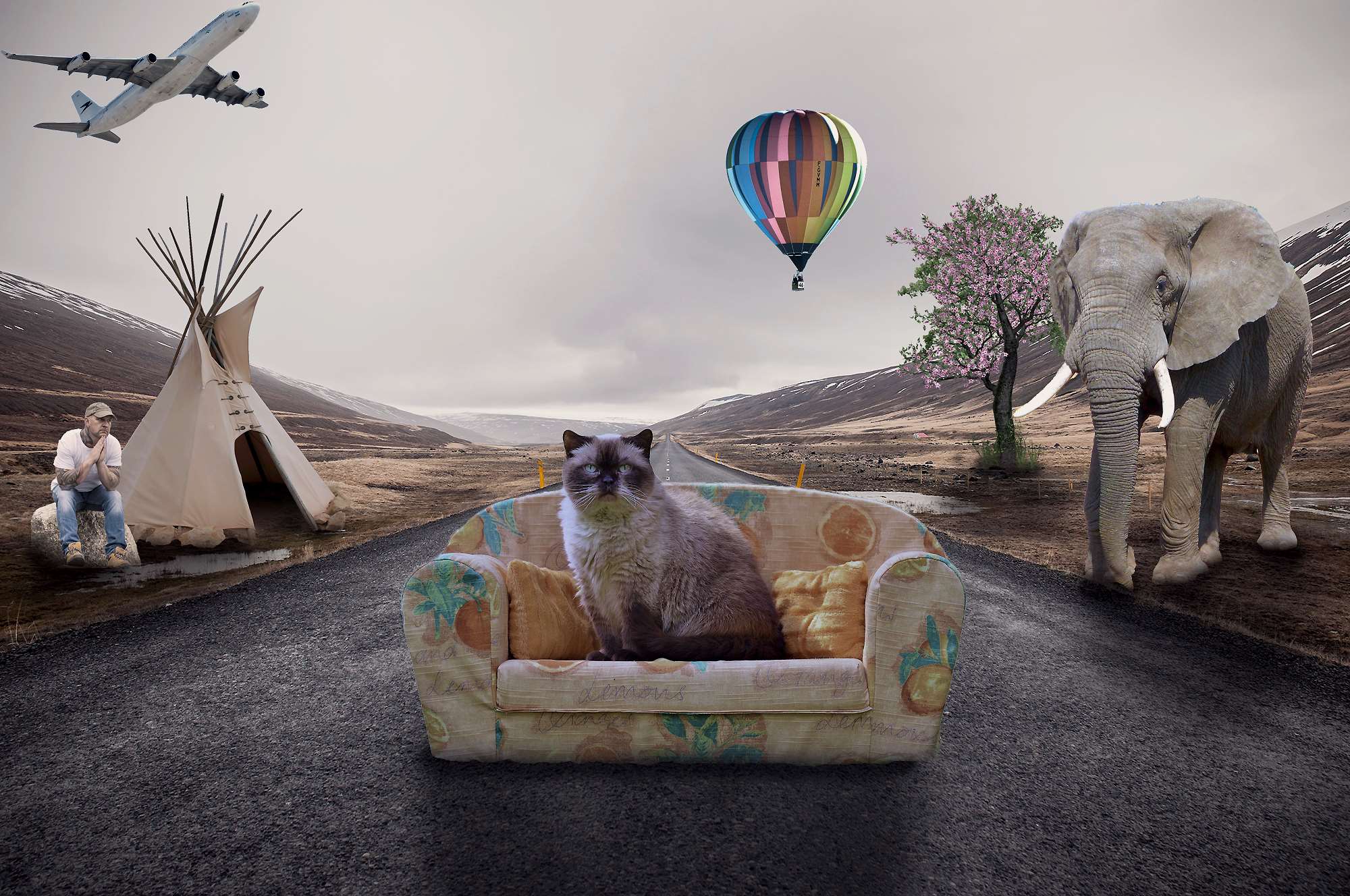 Adobe Photoshop, Balloon, Cat, Collage, Couch, Desert, - Siamese , HD Wallpaper & Backgrounds