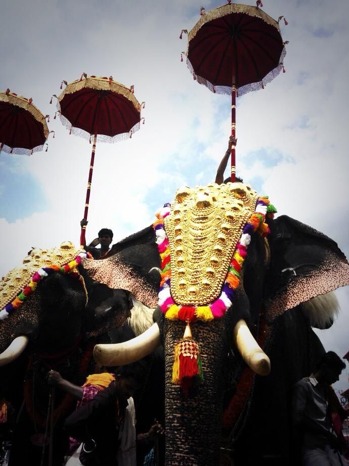 Kerala Backwaters, India Asia, Festivals Of India - Thrissur Pooram Elephants Hd , HD Wallpaper & Backgrounds