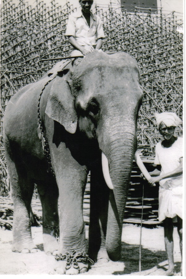 Ramachandran As Thrissur Ganeshan In 1982, Before Being - Old Photos Of Thechikottukavu Ramachandran , HD Wallpaper & Backgrounds