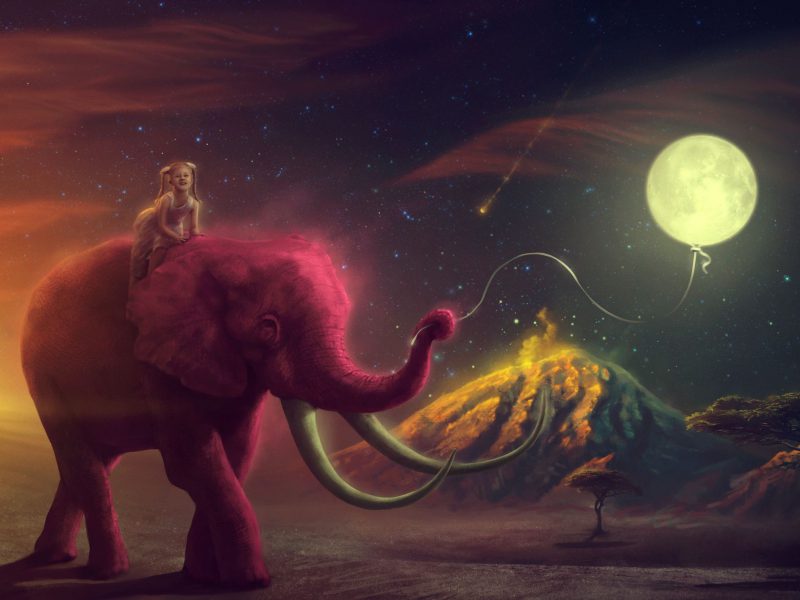 Pink Elephant Wallpaper - Mythospheric Colorblind , HD Wallpaper & Backgrounds