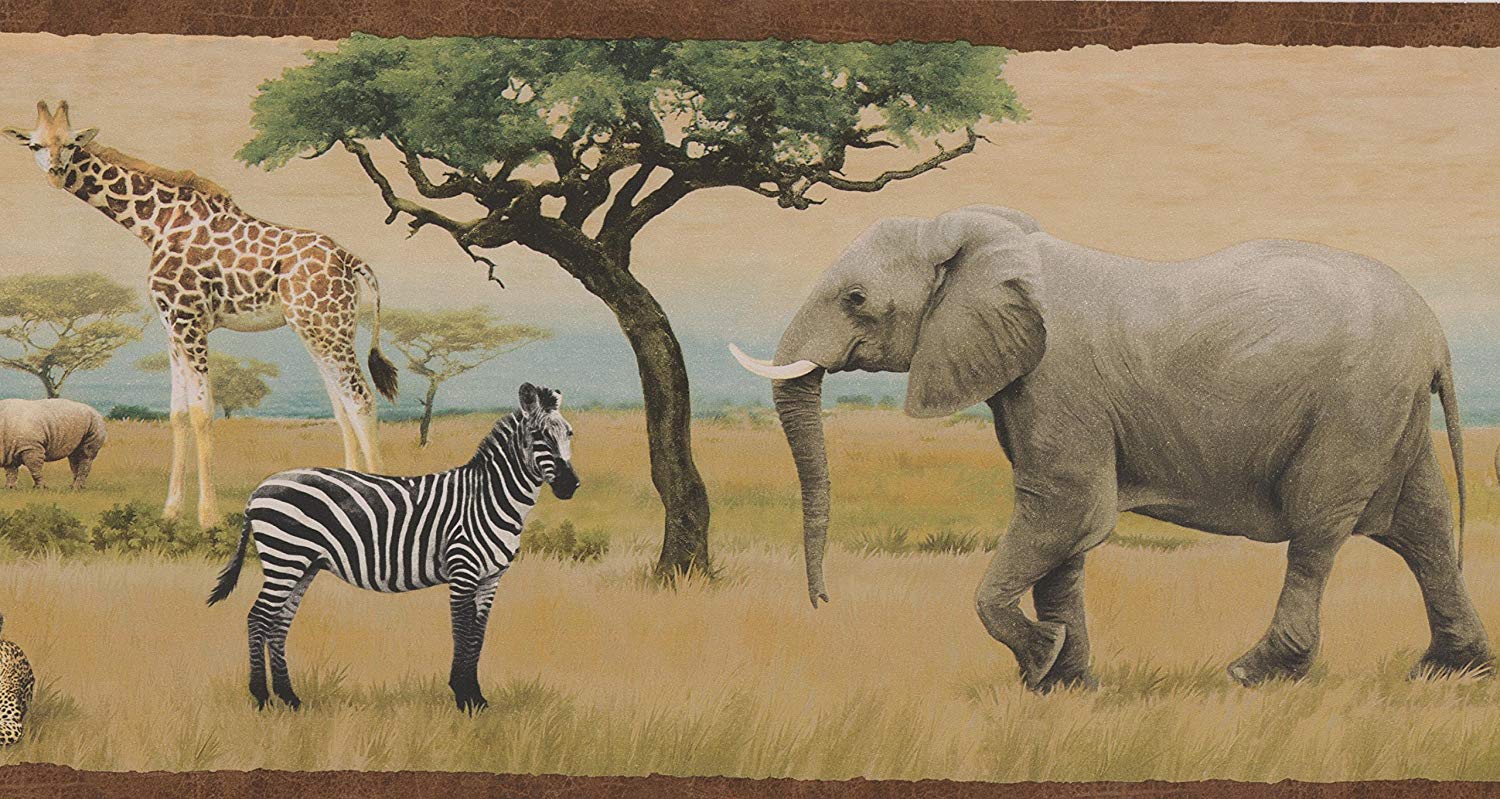 Jungle Savannah Lion Leopard Elephant Giraffe Zebra - Lion Giraffe Zebra Elephant , HD Wallpaper & Backgrounds