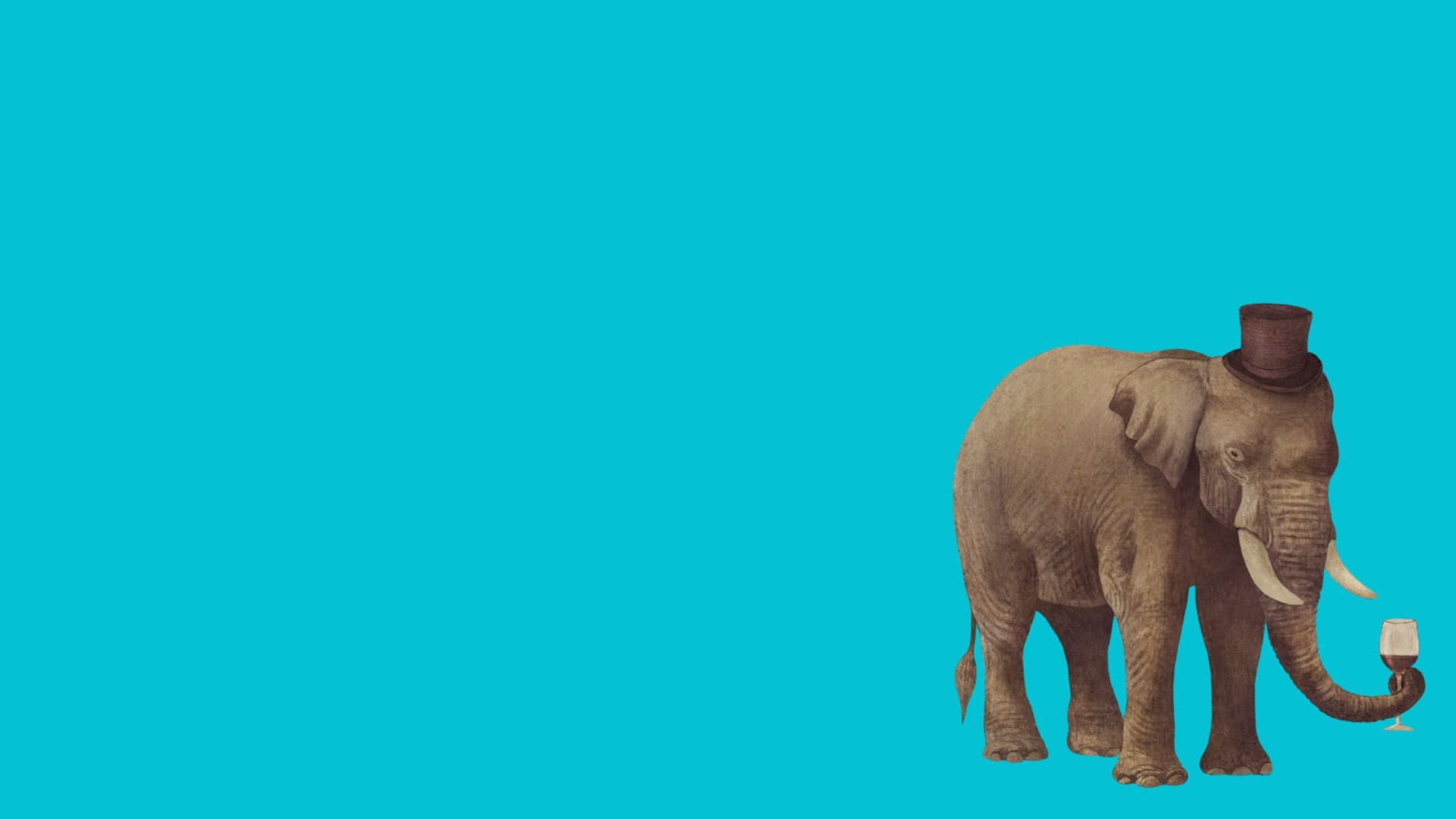 Gray Elephant Illustration, Elephant, Minimalism, Animals - Elephant Illustration , HD Wallpaper & Backgrounds