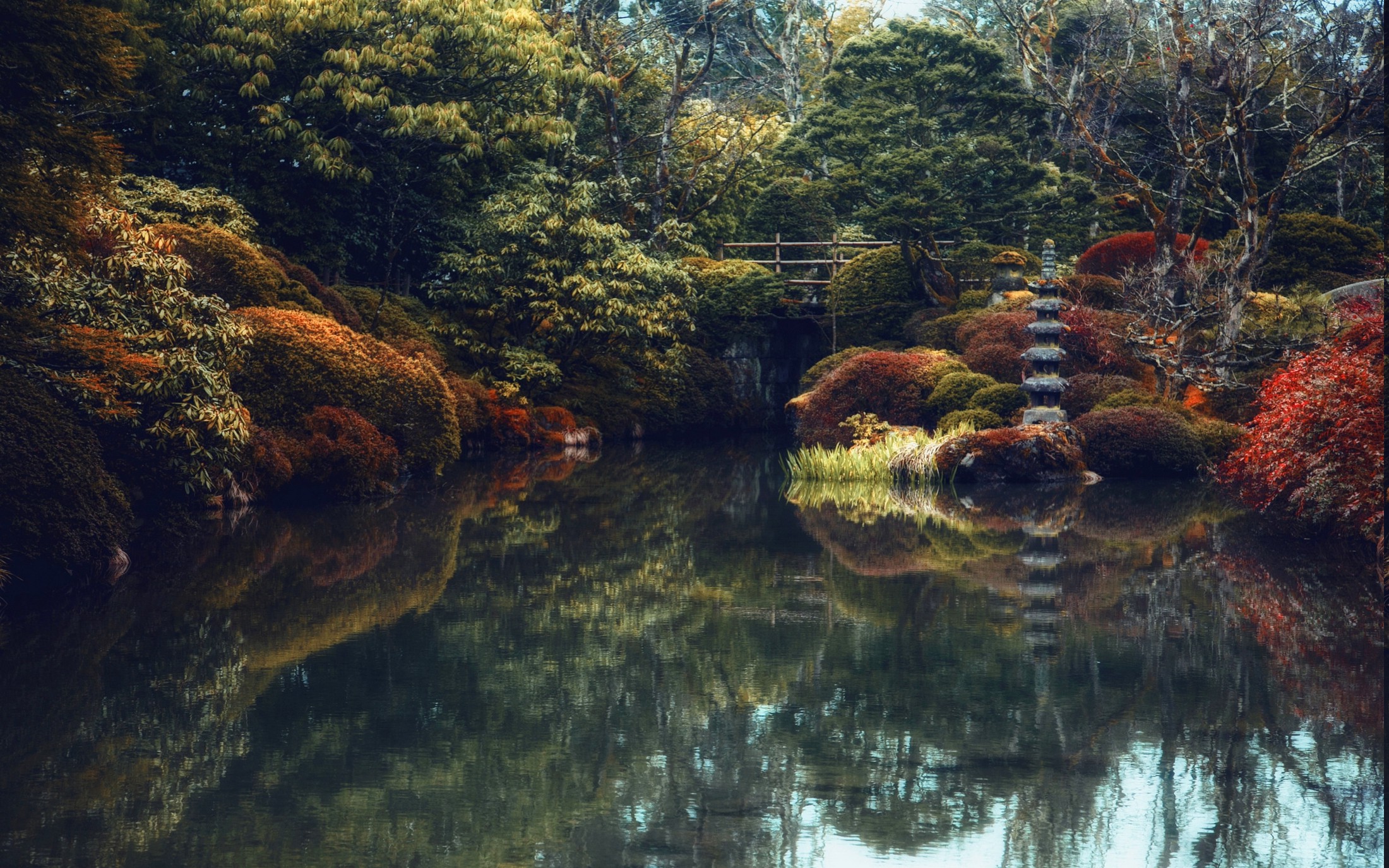 Nature, Landscape, Japanese, Garden, Trees, Shrubs, - Japanese Pond , HD Wallpaper & Backgrounds