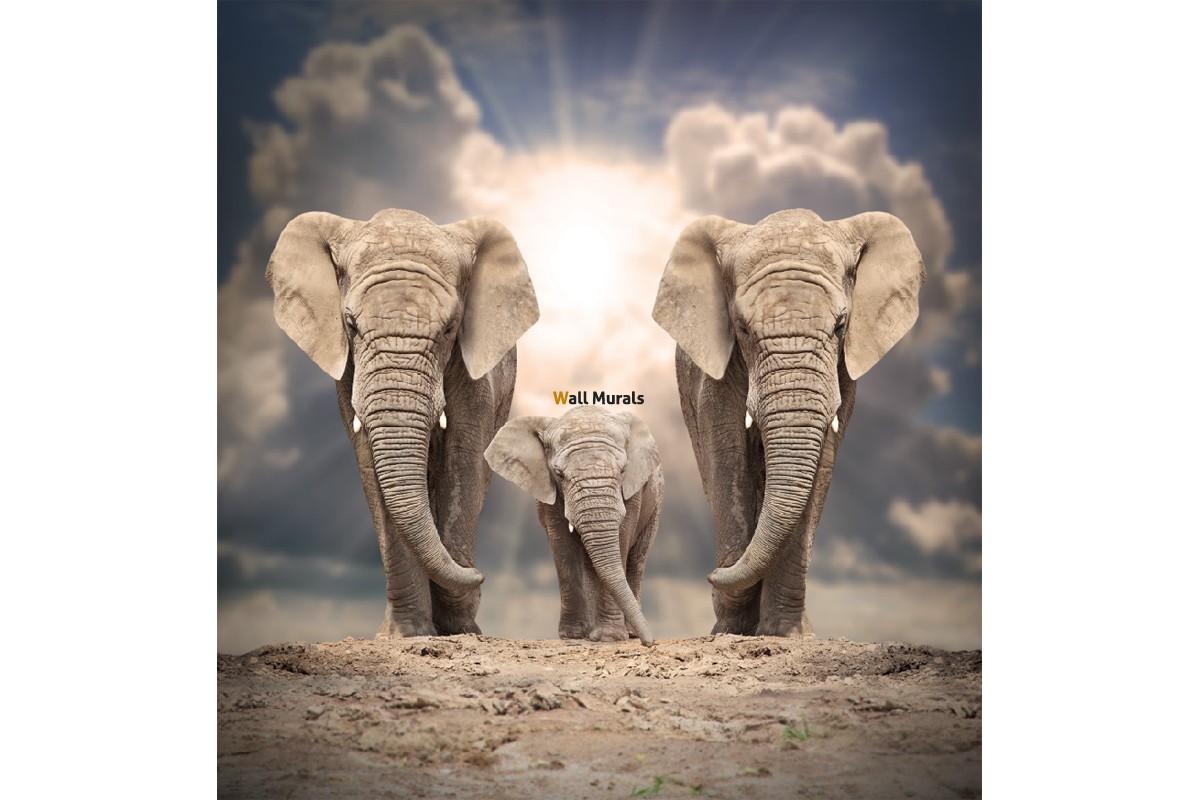 1202 1652 F3 Izgled Na Tri Krasivi Slona 0 - African Elephant With Baby , HD Wallpaper & Backgrounds