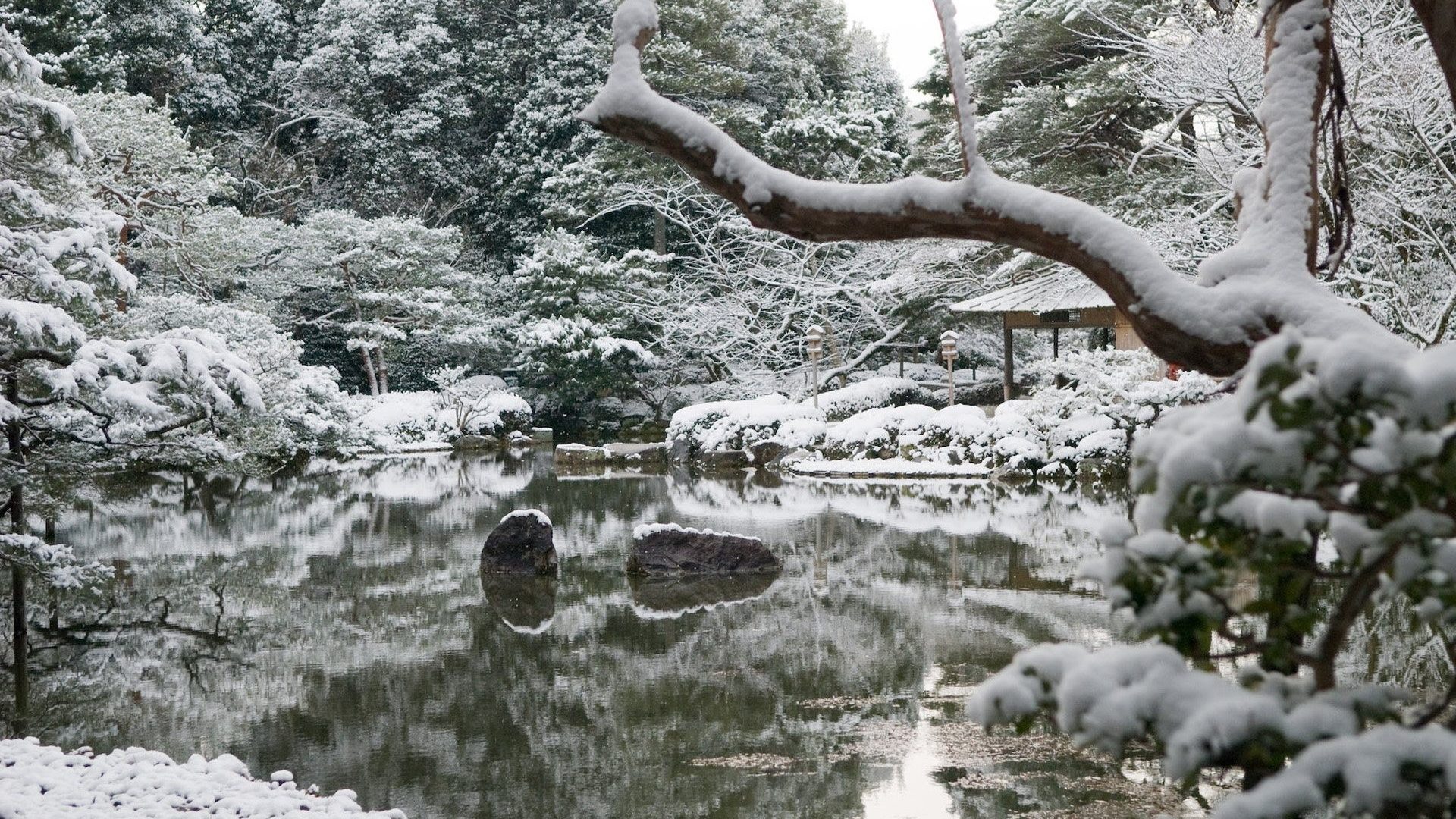 Snow Nature Garden Trees Winter Branch Rocks Japanese - Snow , HD Wallpaper & Backgrounds