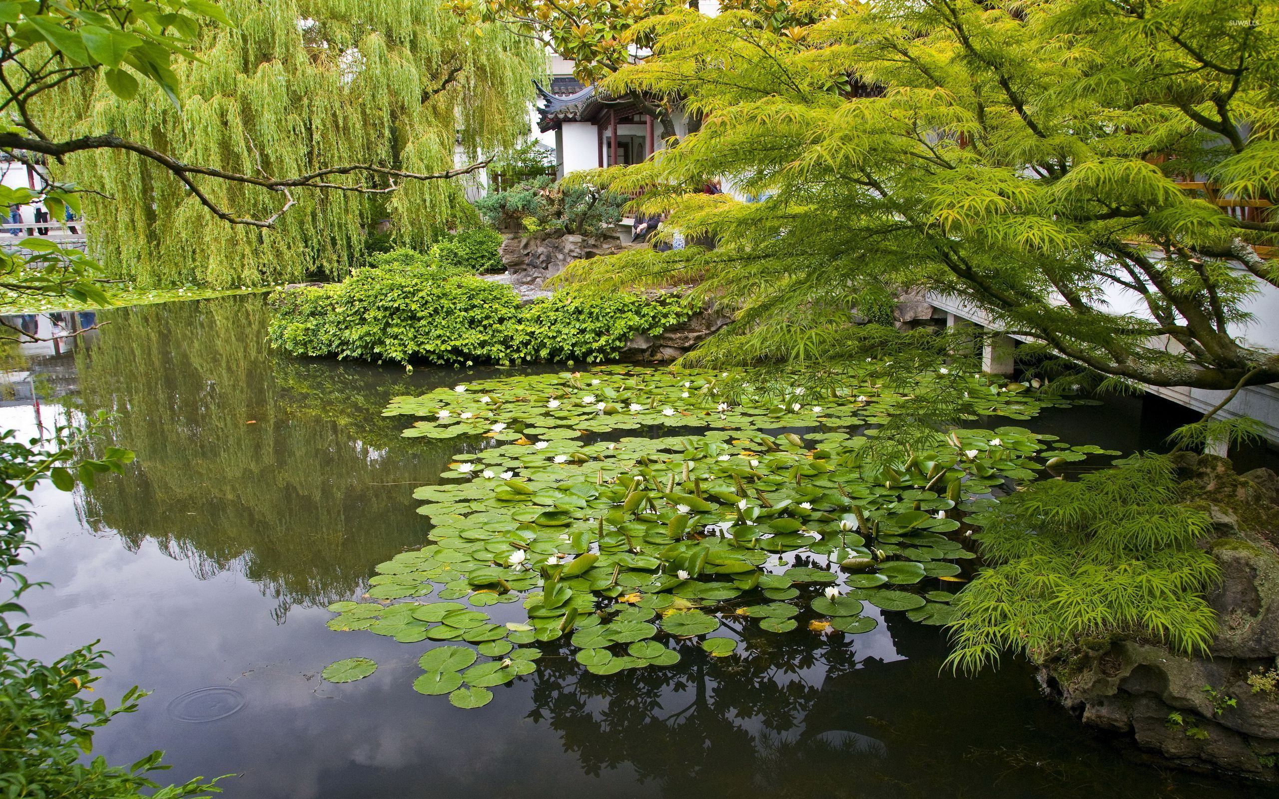 Japanese Garden [2] Wallpaper - Fish Pond , HD Wallpaper & Backgrounds