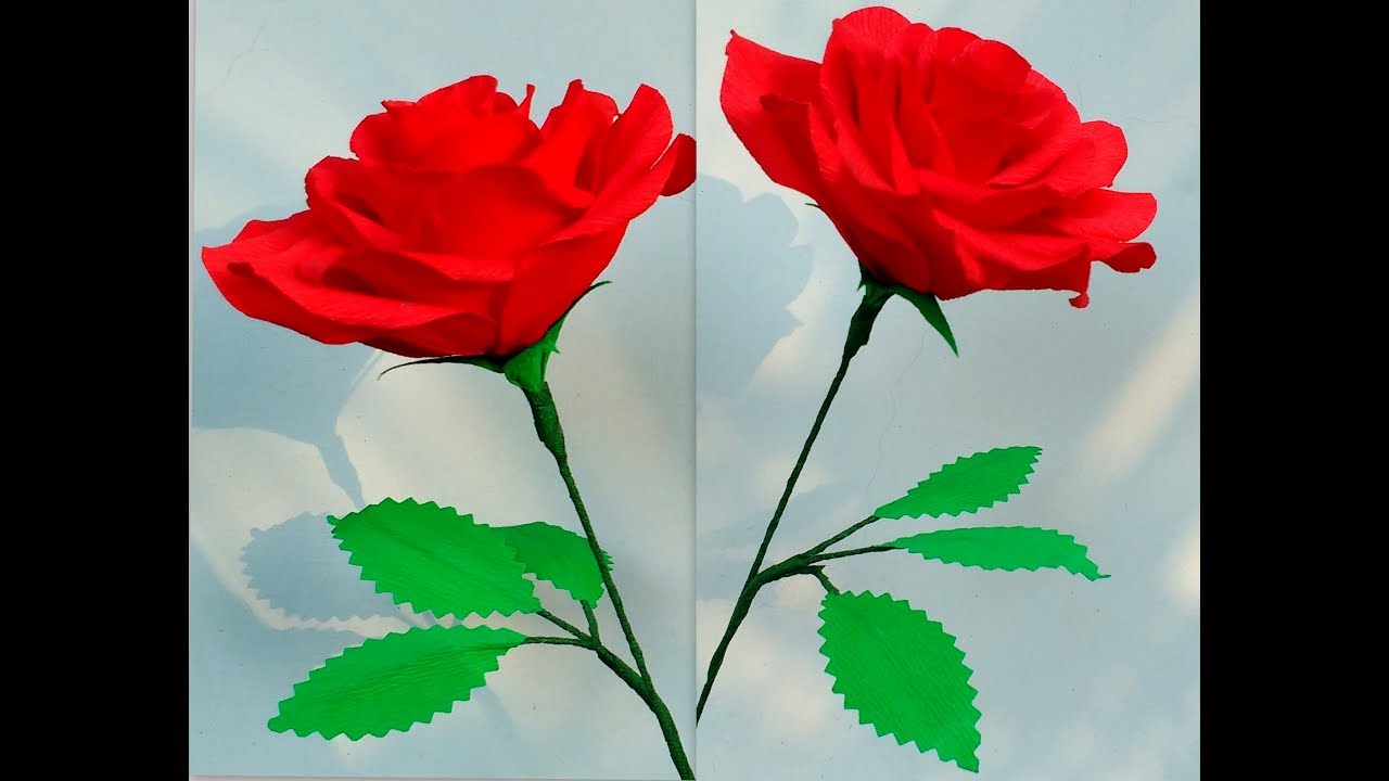 Rose Day Wallpapers Free Download Source - गुलाब का फूल , HD Wallpaper & Backgrounds