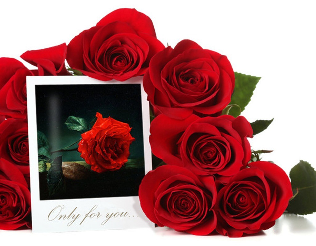 - Hd - Rose Flower Photo Frame , HD Wallpaper & Backgrounds