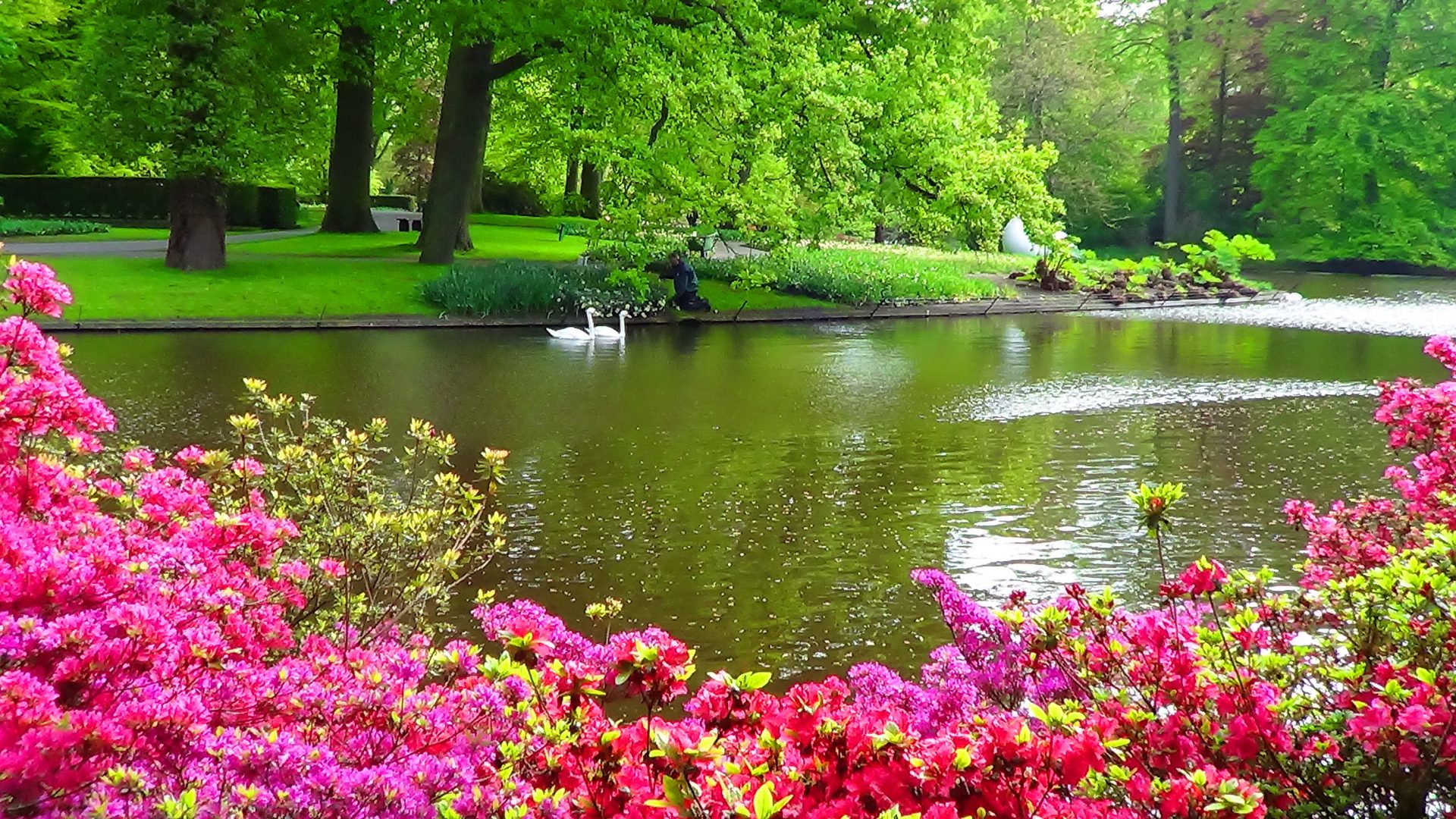 Garden Beautiful Floral Roses Plants Nature Green Flowers - Beautiful Lake Garden , HD Wallpaper & Backgrounds