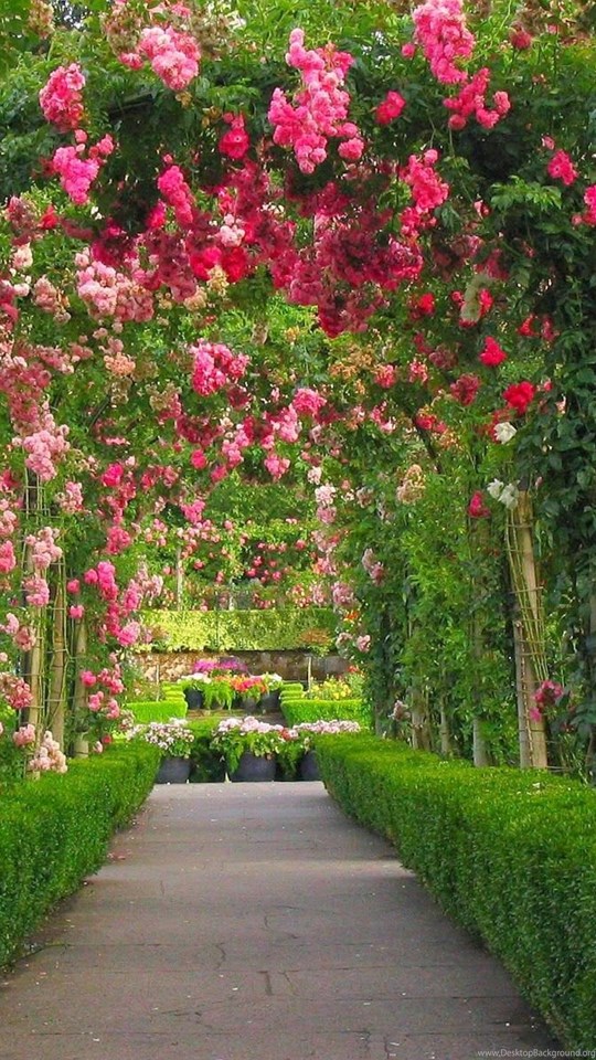 Android Hd - Beautiful Garden Photo Gallery , HD Wallpaper & Backgrounds