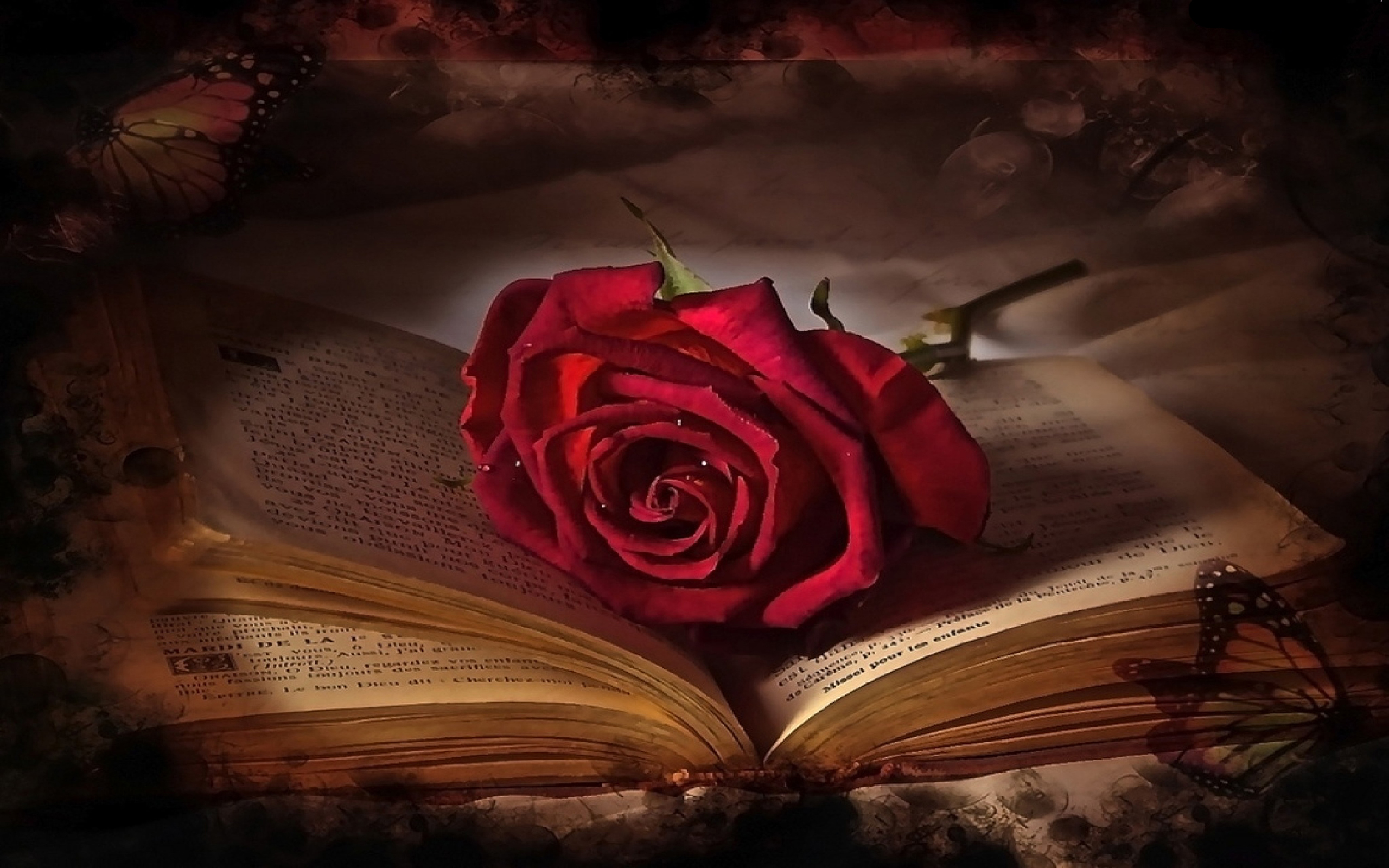 Hd Wallpaper - Sad Rose In Book , HD Wallpaper & Backgrounds