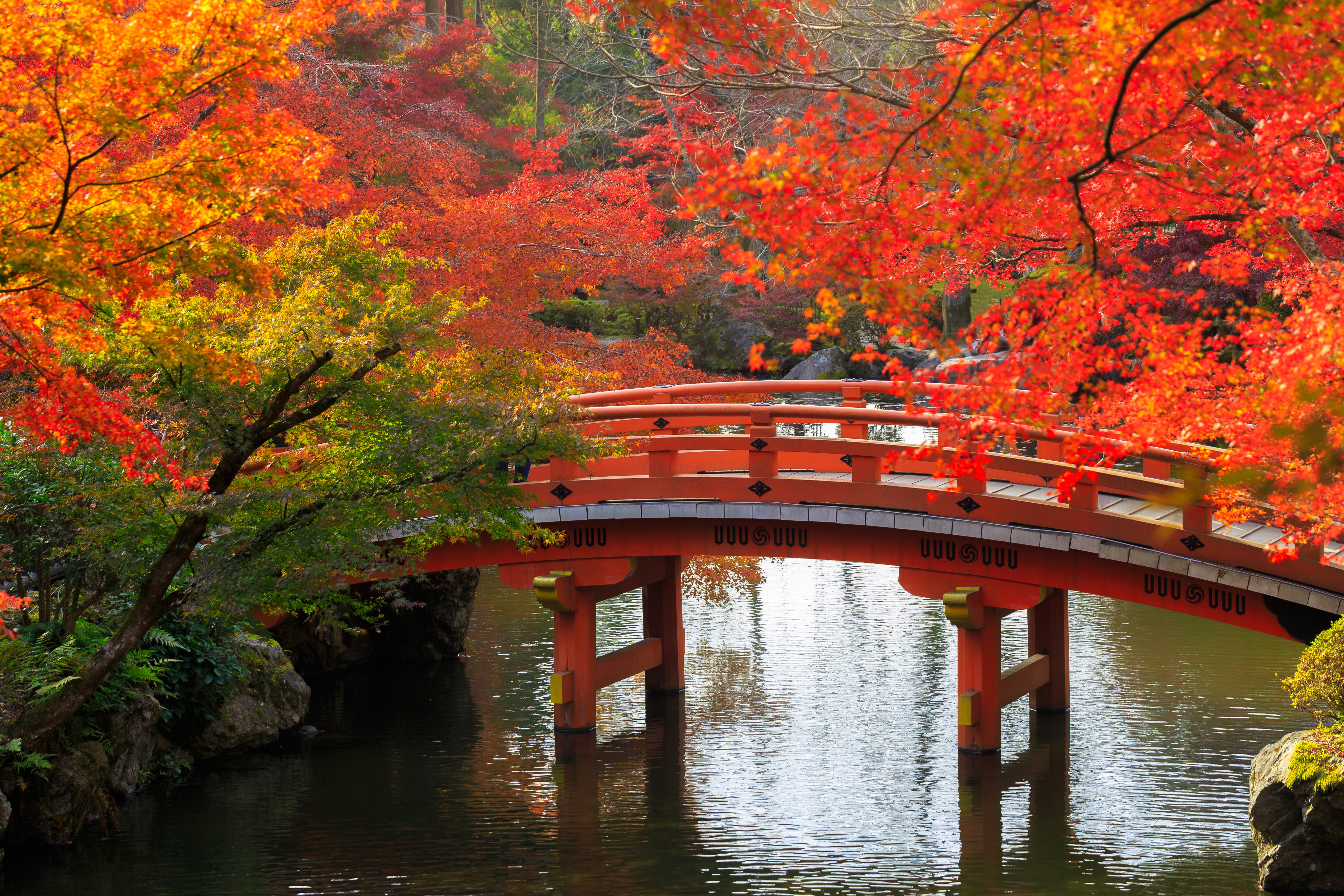 Bridge In Japanese Garden 5k Retina Ultra Hd Wallpaper - Fall Japan , HD Wallpaper & Backgrounds